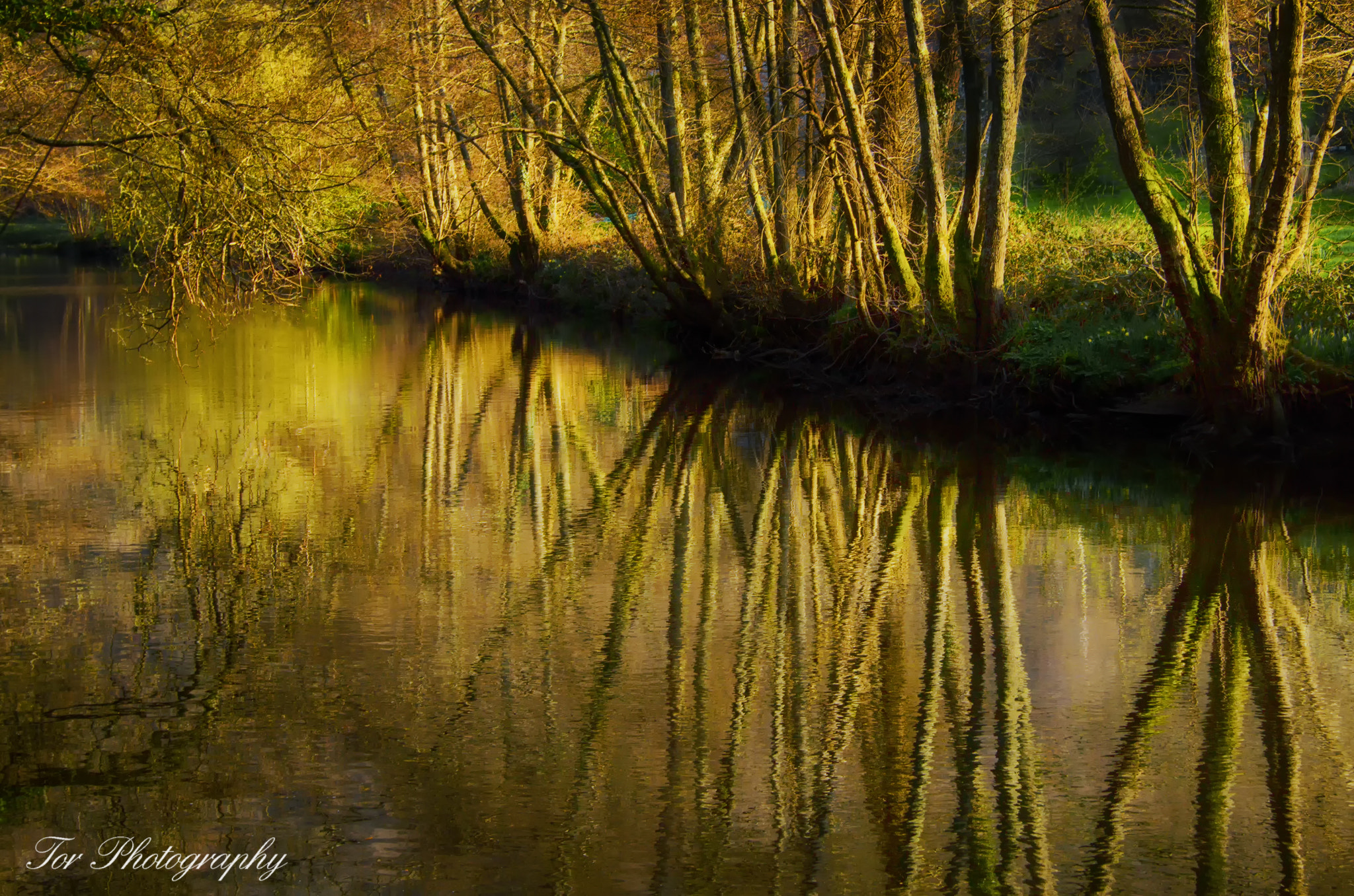 Sony SLT-A35 sample photo. River teign near steps bridge photography