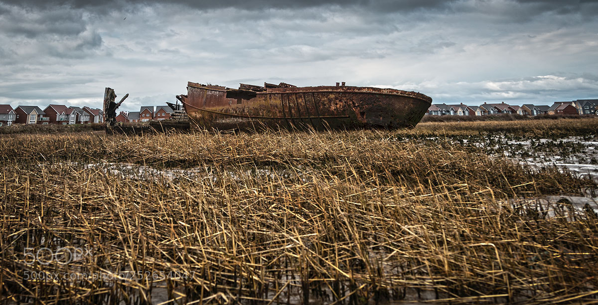 Canon EOS 70D sample photo. Beached whale photography