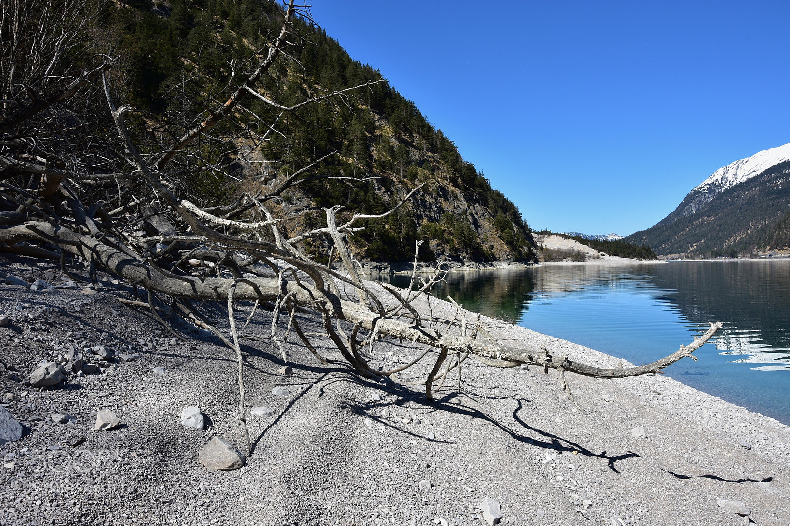 Nikon D7200 sample photo. Untitled photography