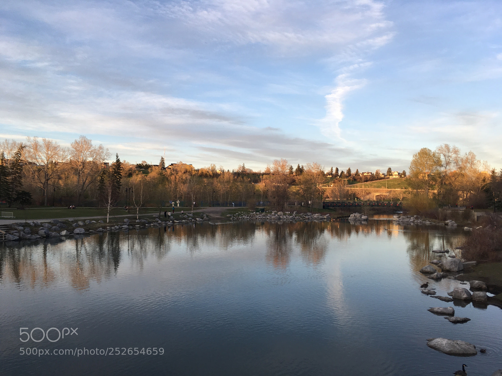 Apple iPhone SE sample photo. Calgary by river photography
