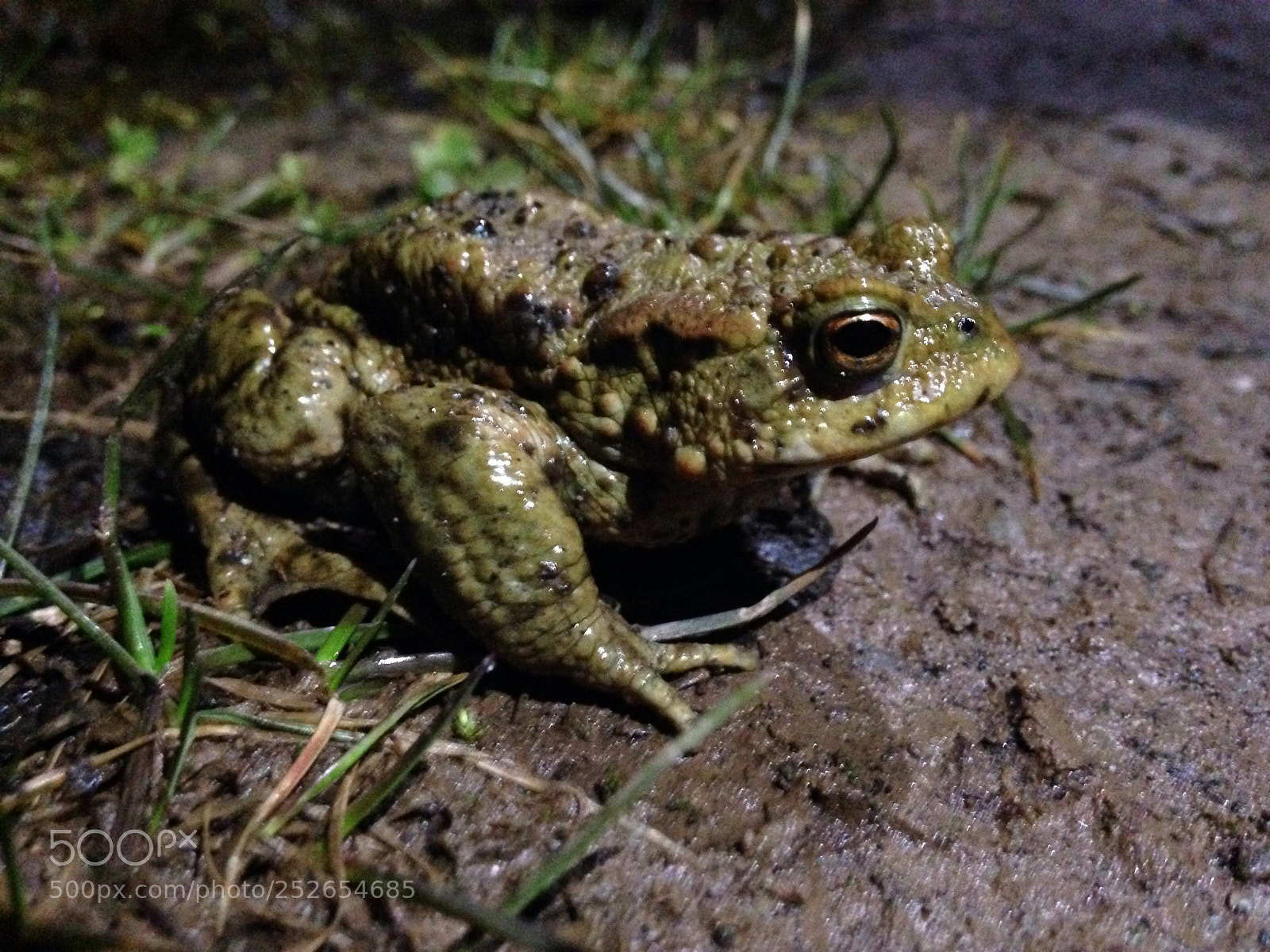 Apple iPhone 5c sample photo. Begegnung am abend  photography