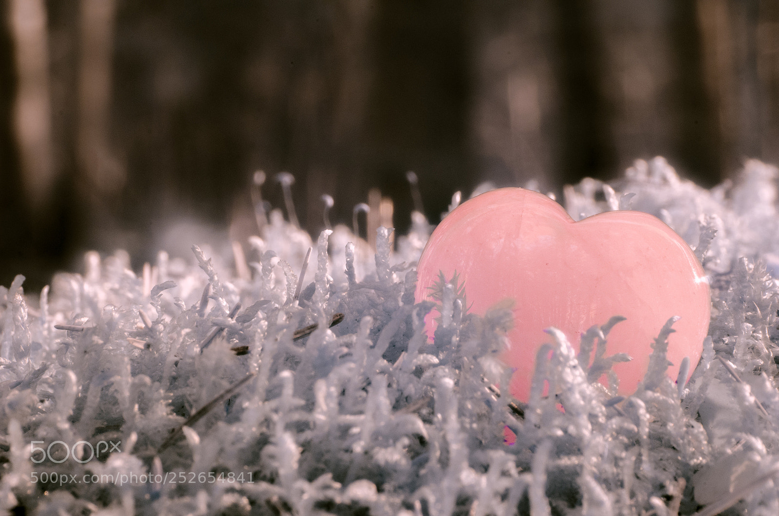 Nikon D7000 sample photo. Inrared heart at forest photography