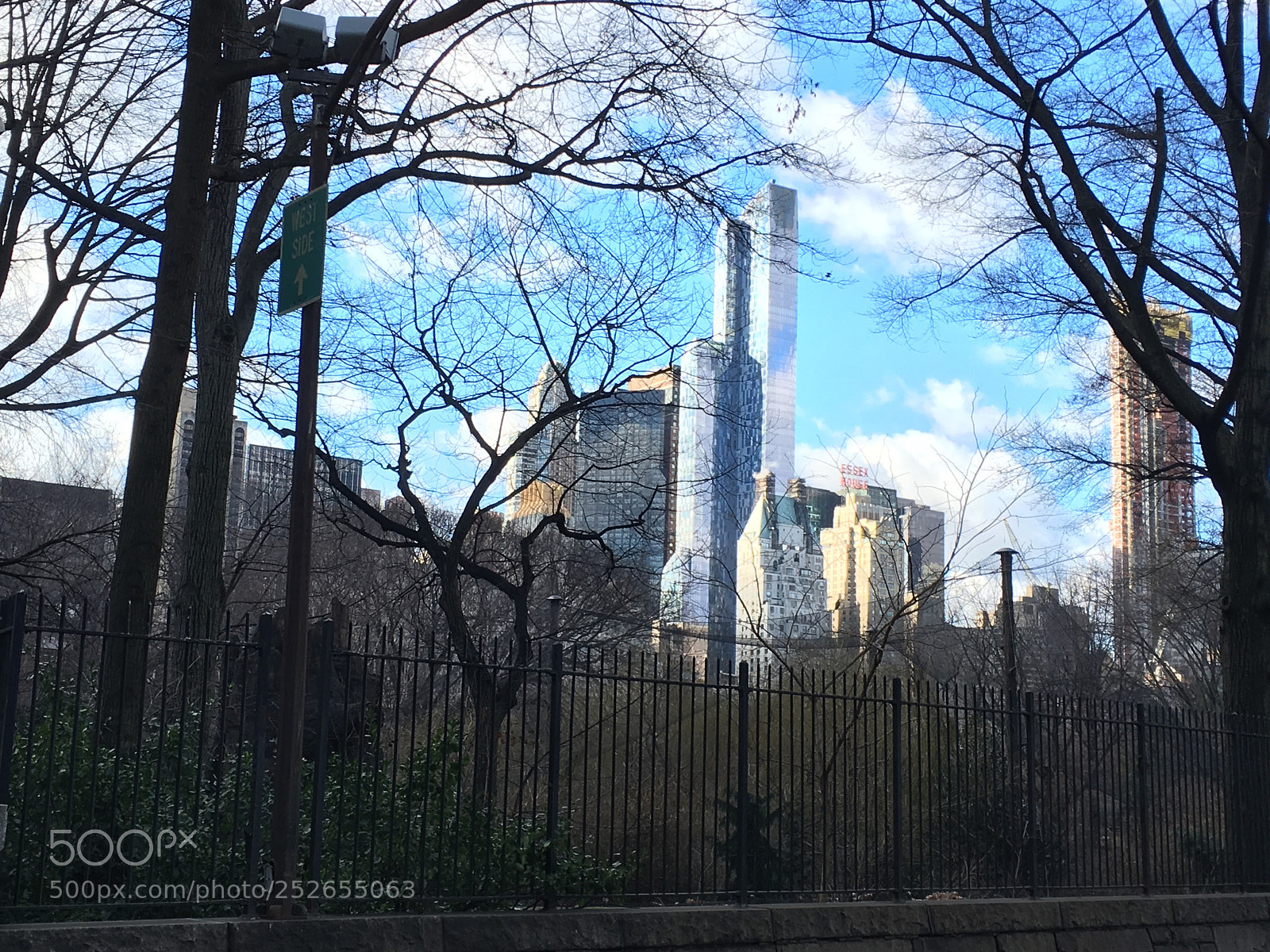 Apple iPhone SE sample photo. Central park photography
