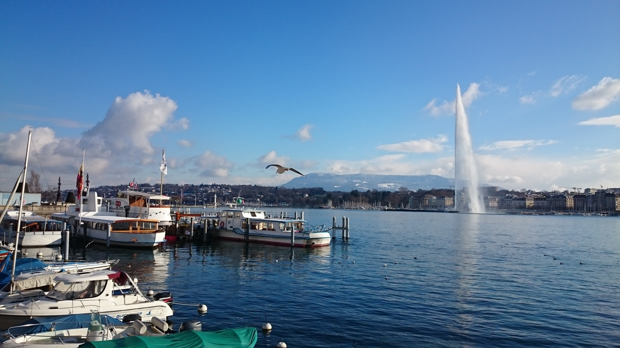 Sony Xperia Z1 Compact sample photo. Geneva photography