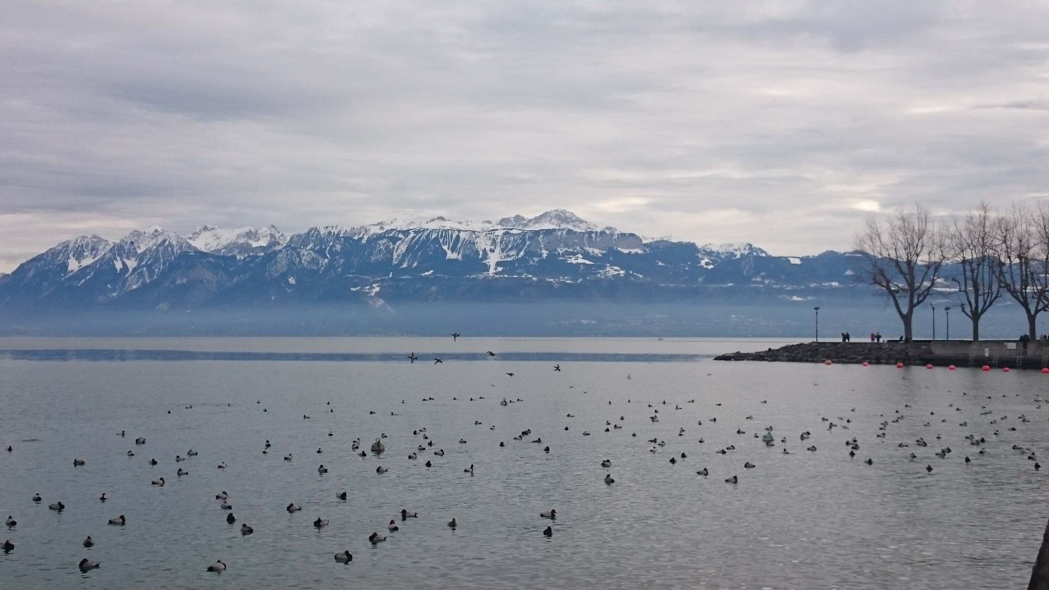 Sony Xperia Z1 Compact sample photo. Lausanne photography