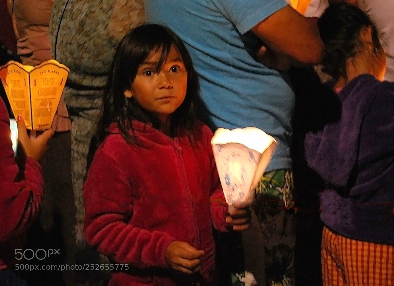 Nikon D60 sample photo. Feefcorig photography