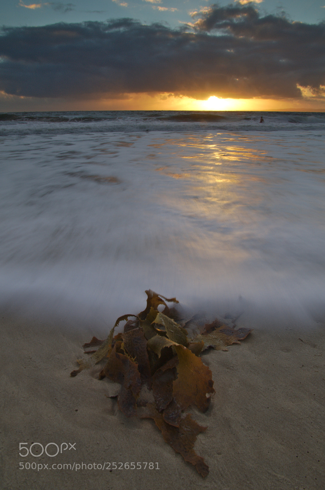 Pentax K-7 sample photo. Seaweed on the beach photography