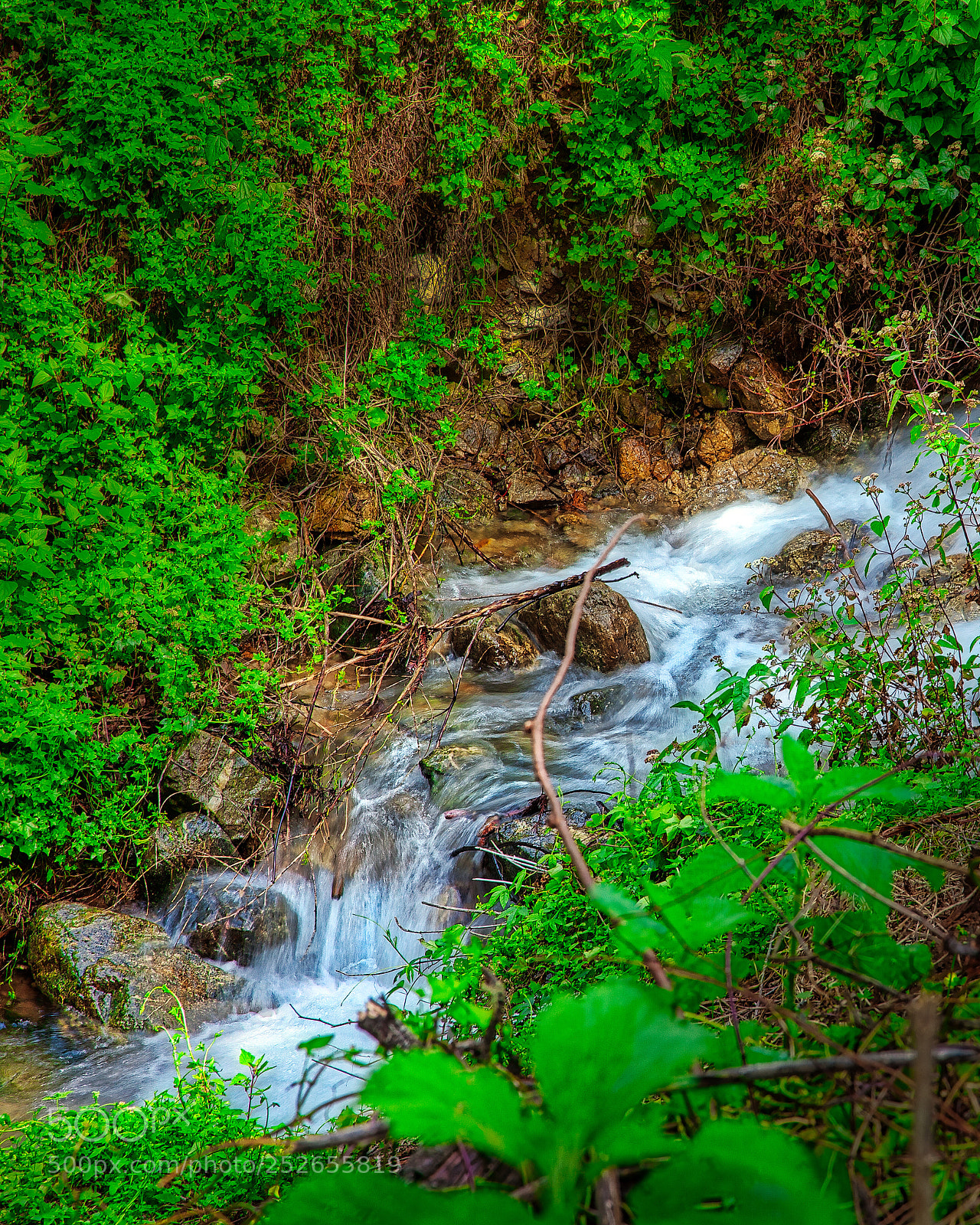 Canon EOS 5D Mark II sample photo. Mcway creek photography