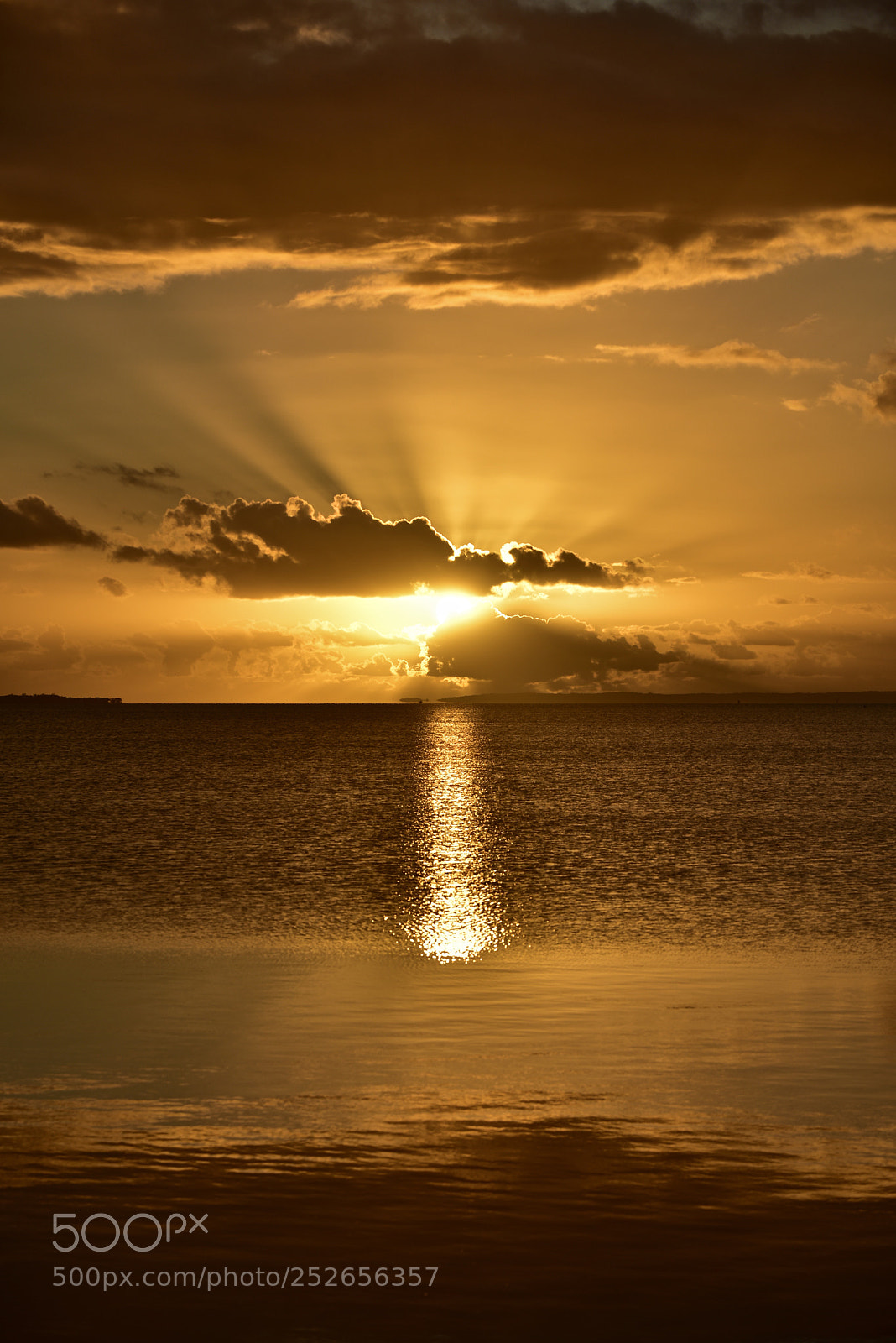 Nikon D810 sample photo. Sunrise moreton bay photography
