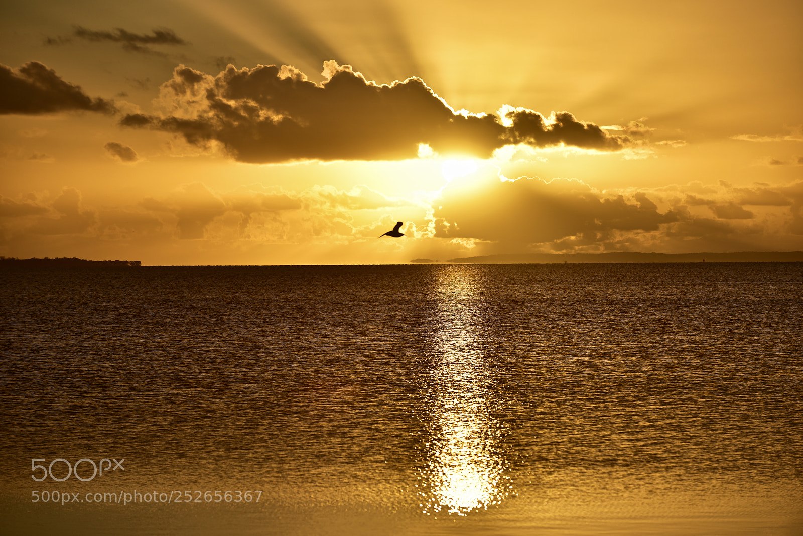 Nikon D810 sample photo. Sunrise moreton bay photography