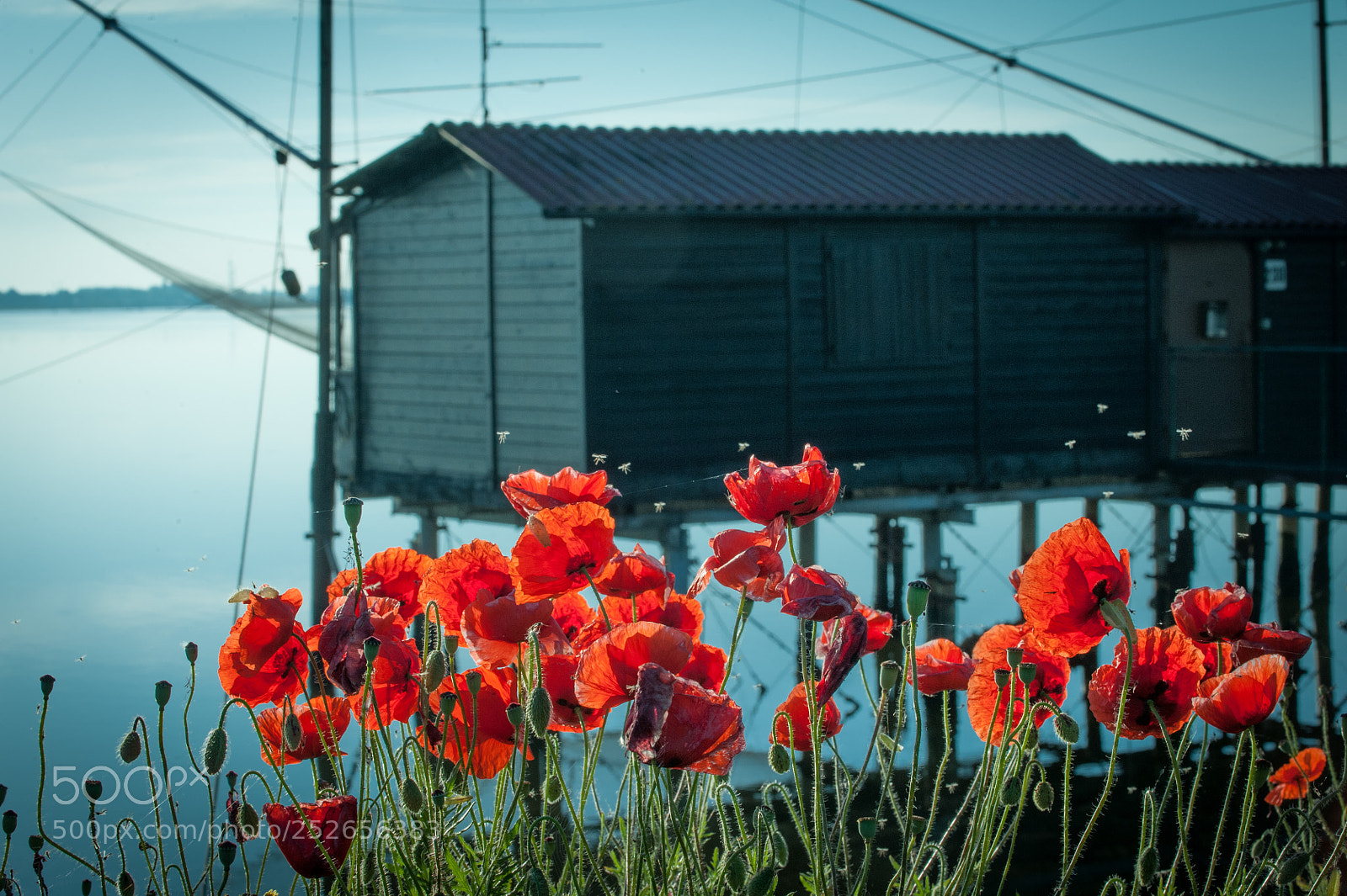 Nikon D700 sample photo. A new day photography