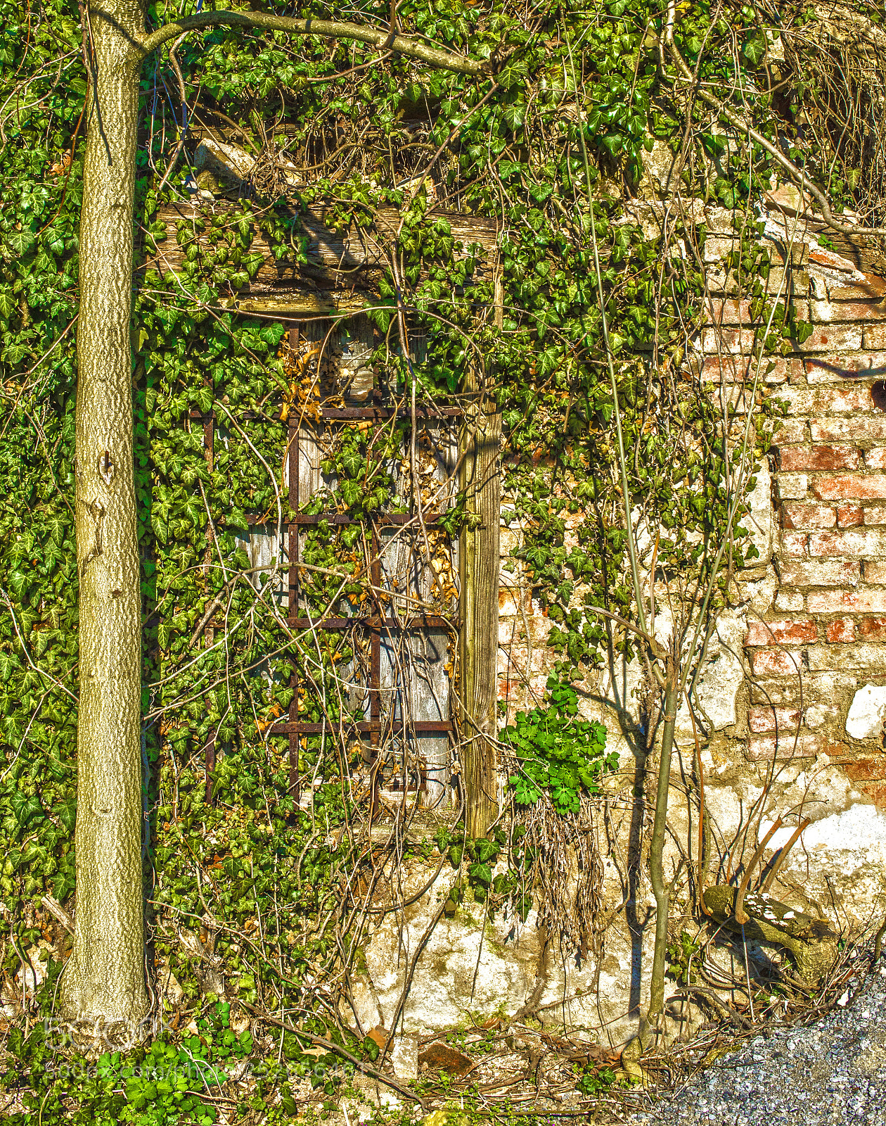Nikon D600 sample photo. Ash to ash... photography