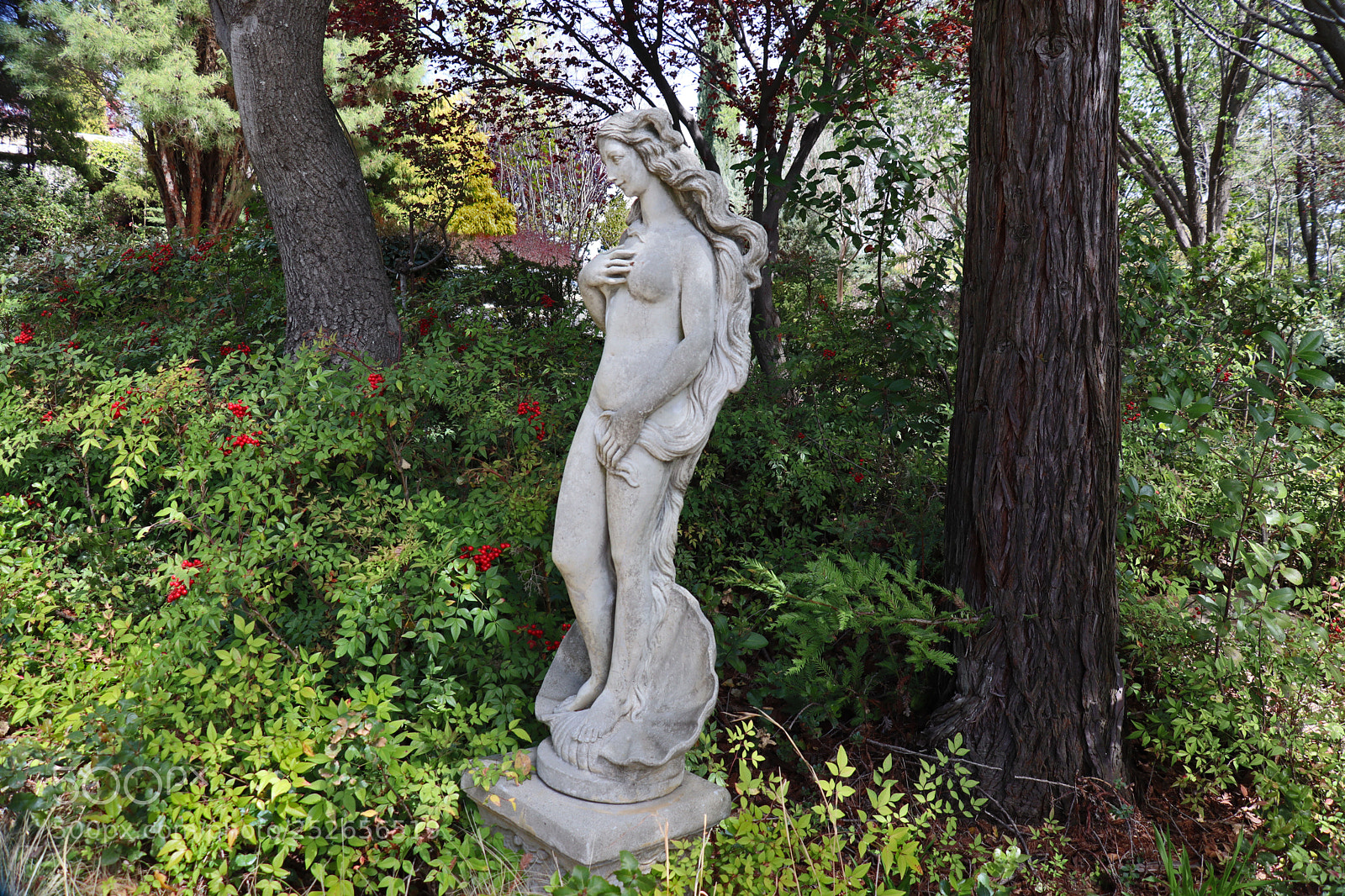 Canon EOS M50 (EOS Kiss M) sample photo. Maiden's spring garden view photography