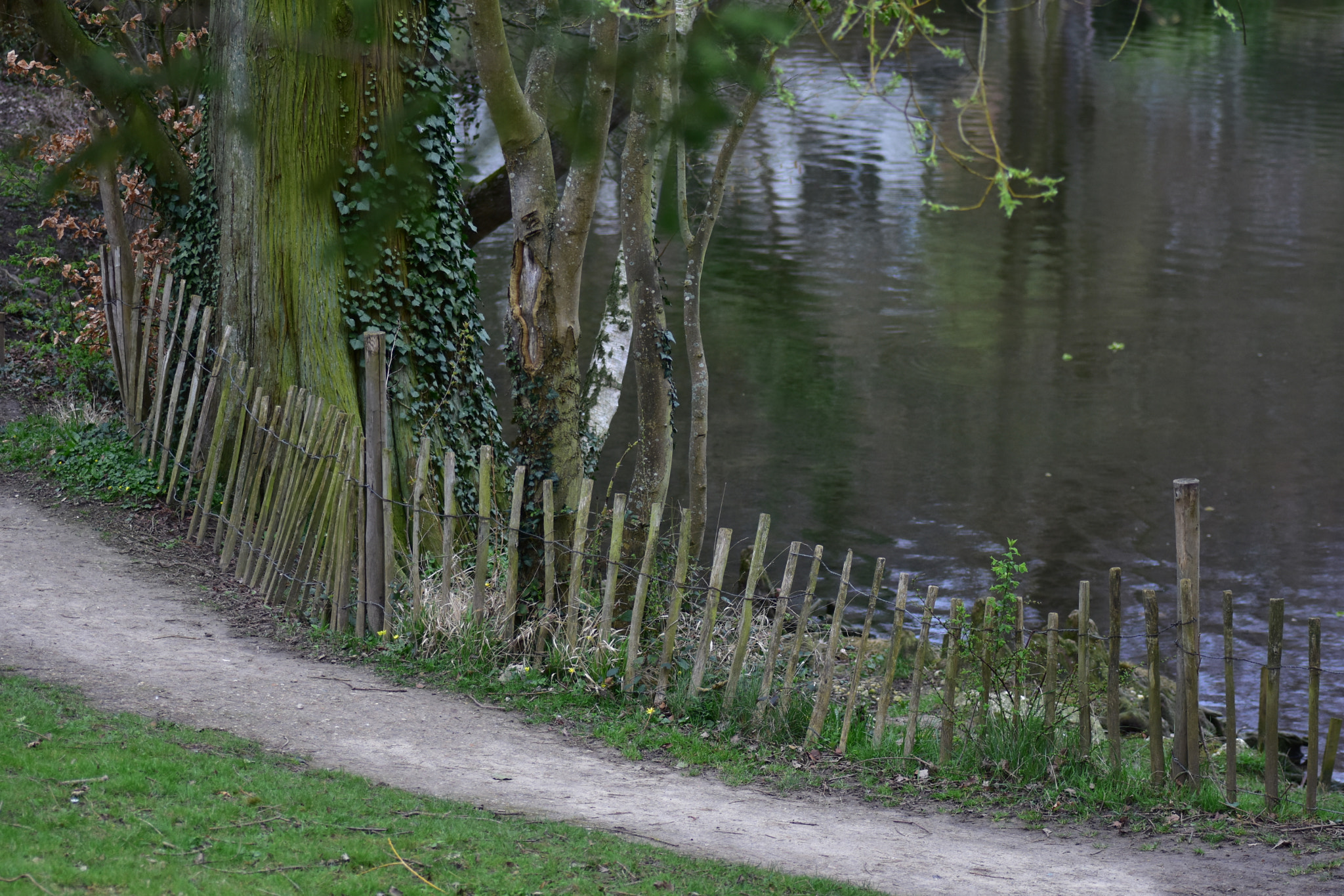 Nikon D7200 sample photo. - photography