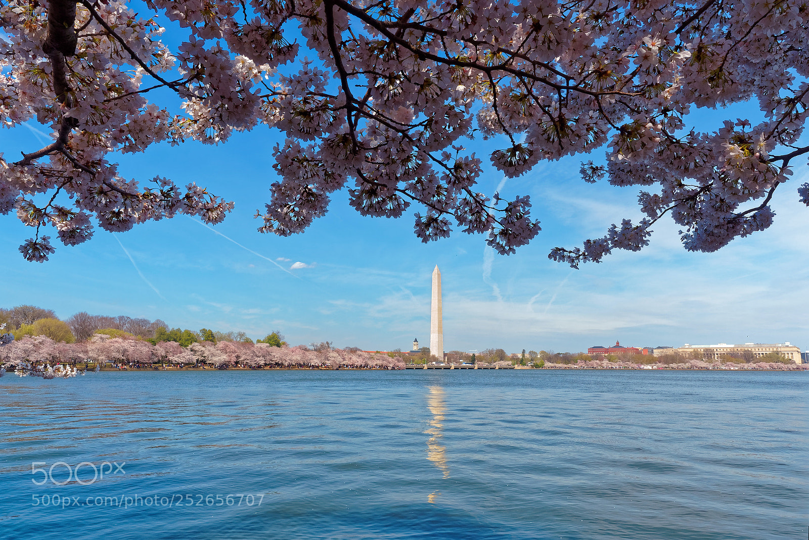 Olympus OM-D E-M5 II sample photo. Washington monument photography