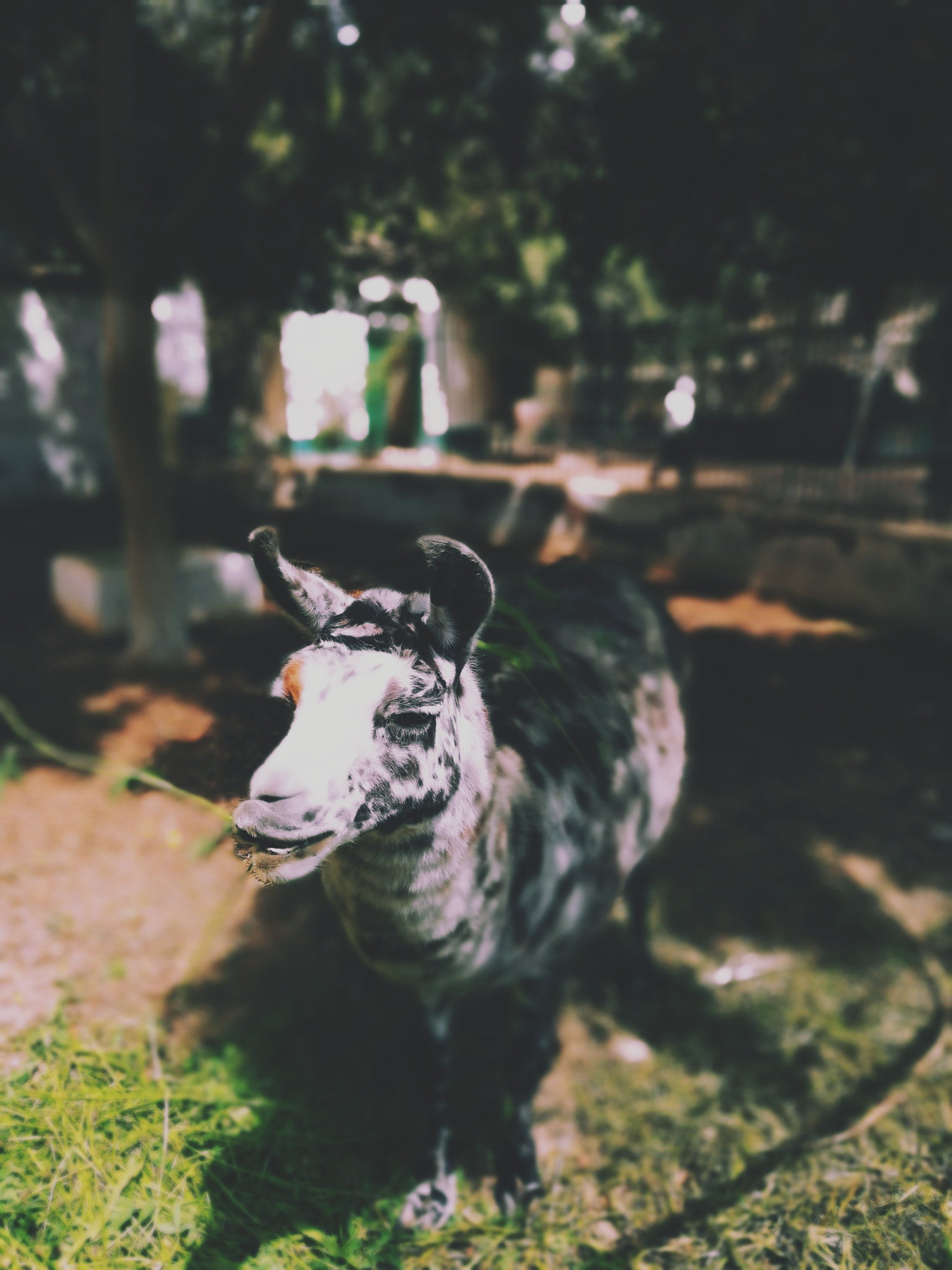 HUAWEI GR5 2017 sample photo