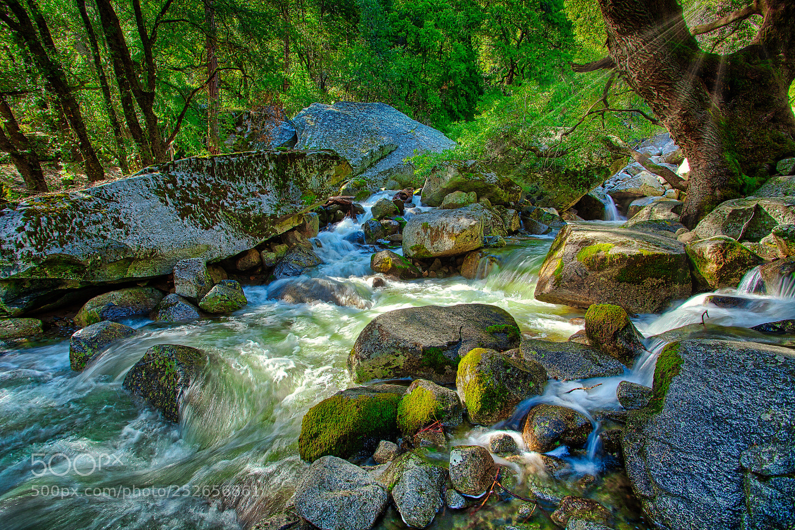 Canon EOS 5D Mark II sample photo. Cascade creek sunrays photography