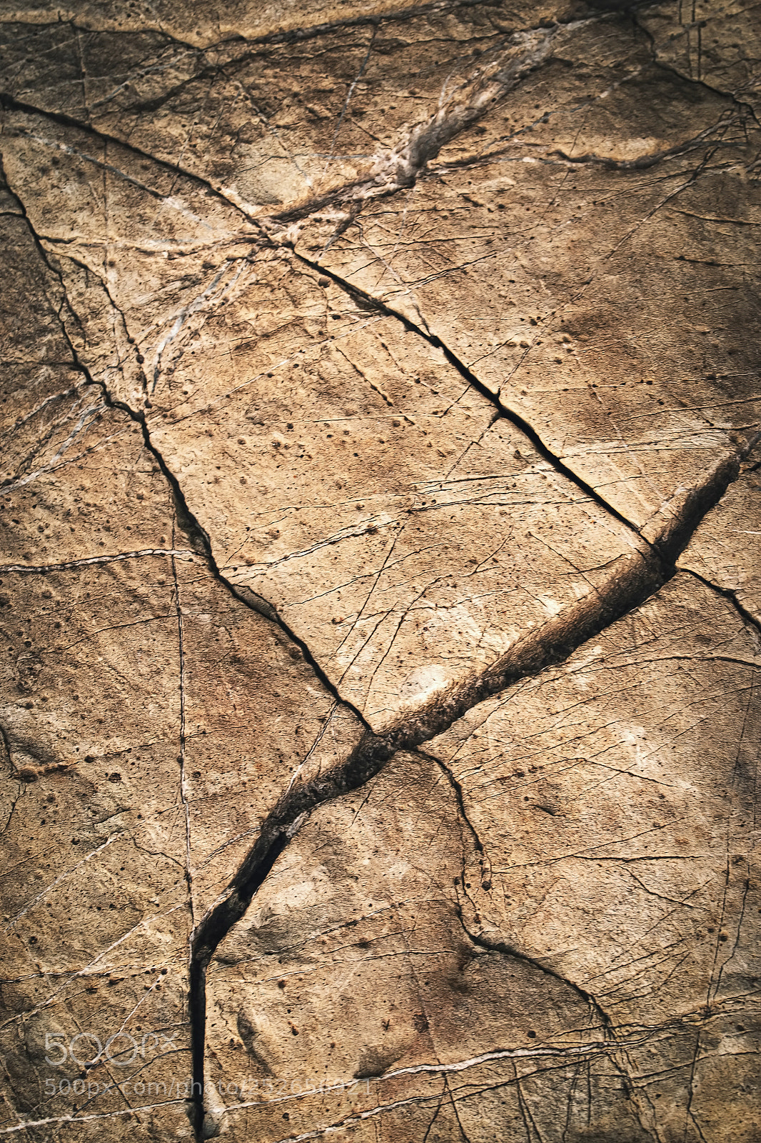 Nikon D5500 sample photo. Brown abstract stone surface photography