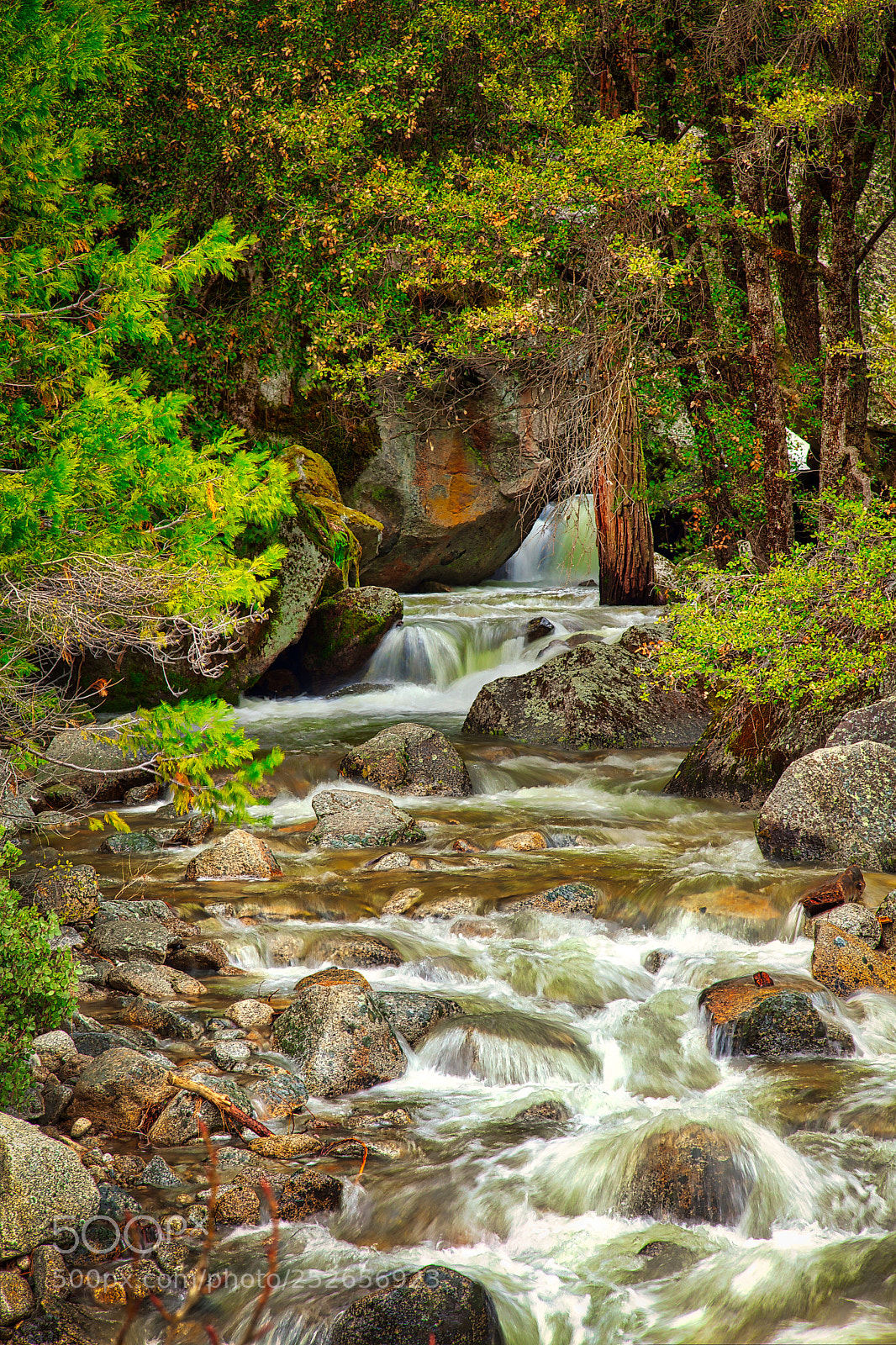 Canon EOS 5D Mark II sample photo. The cascade photography
