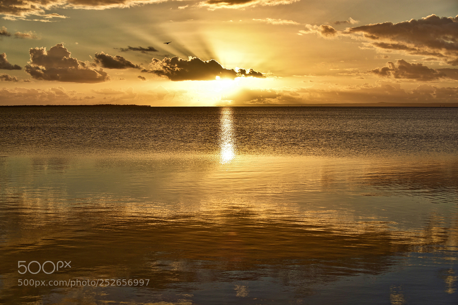 Nikon D810 sample photo. Sunrise moreton bay photography