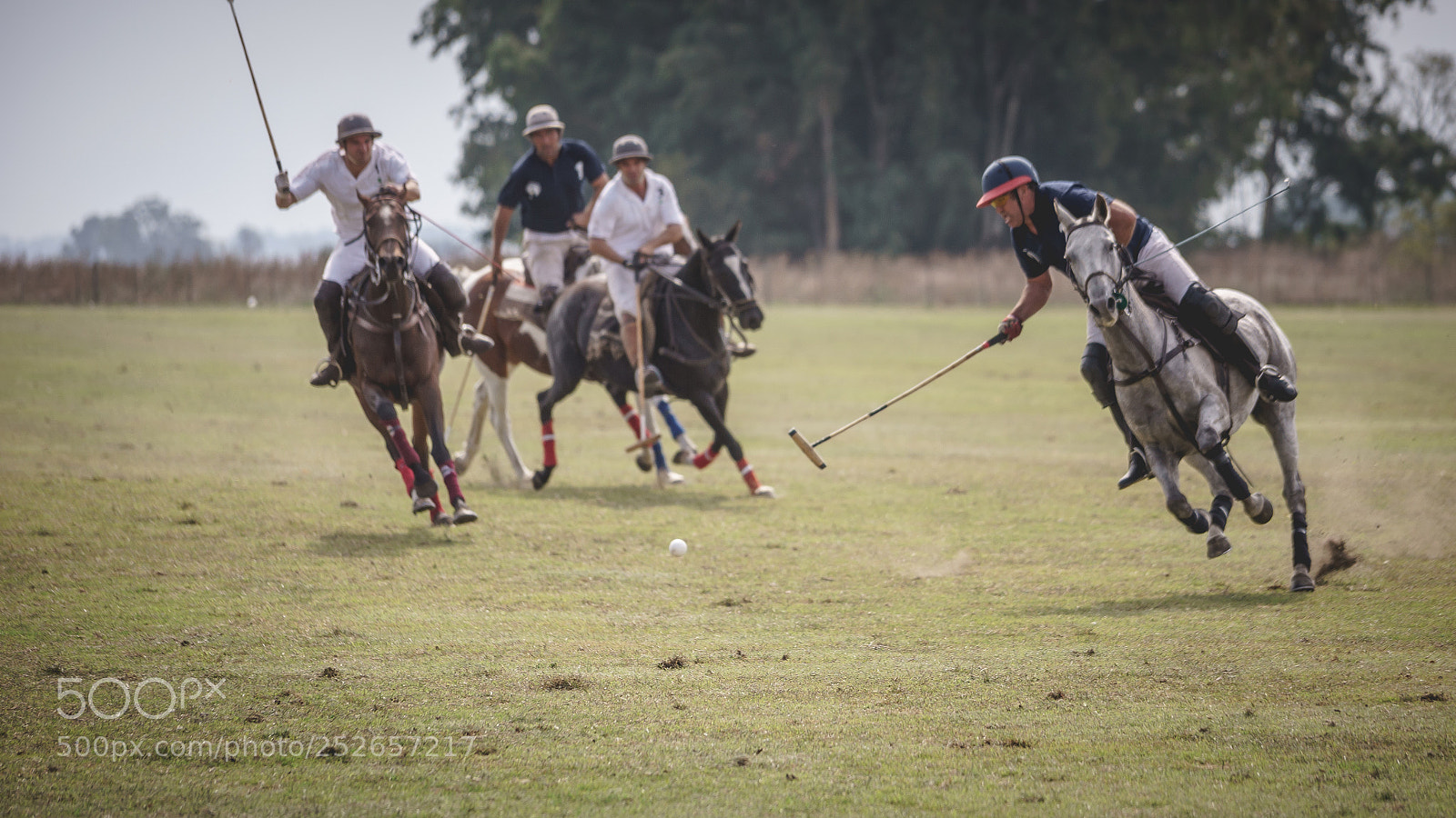 Sony a7 sample photo. Gol photography