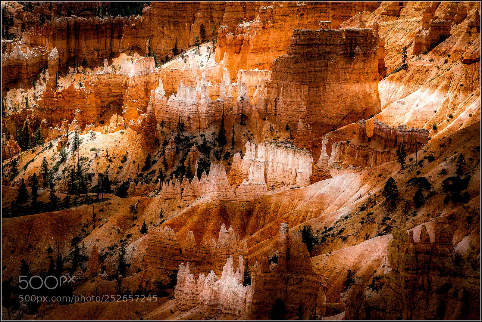Sony SLT-A77 sample photo. Bryce canyon photography