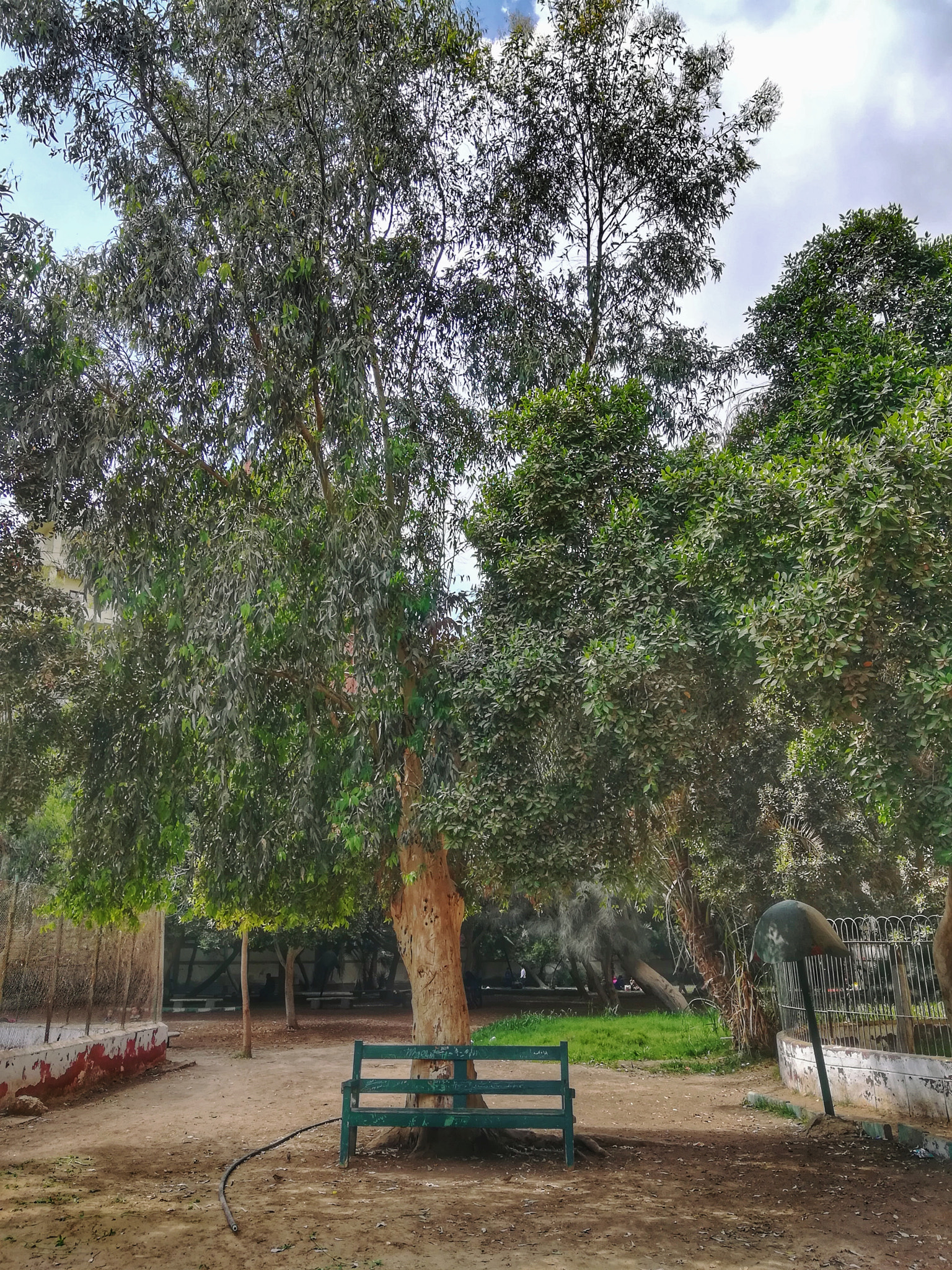 HUAWEI GR5 2017 sample photo