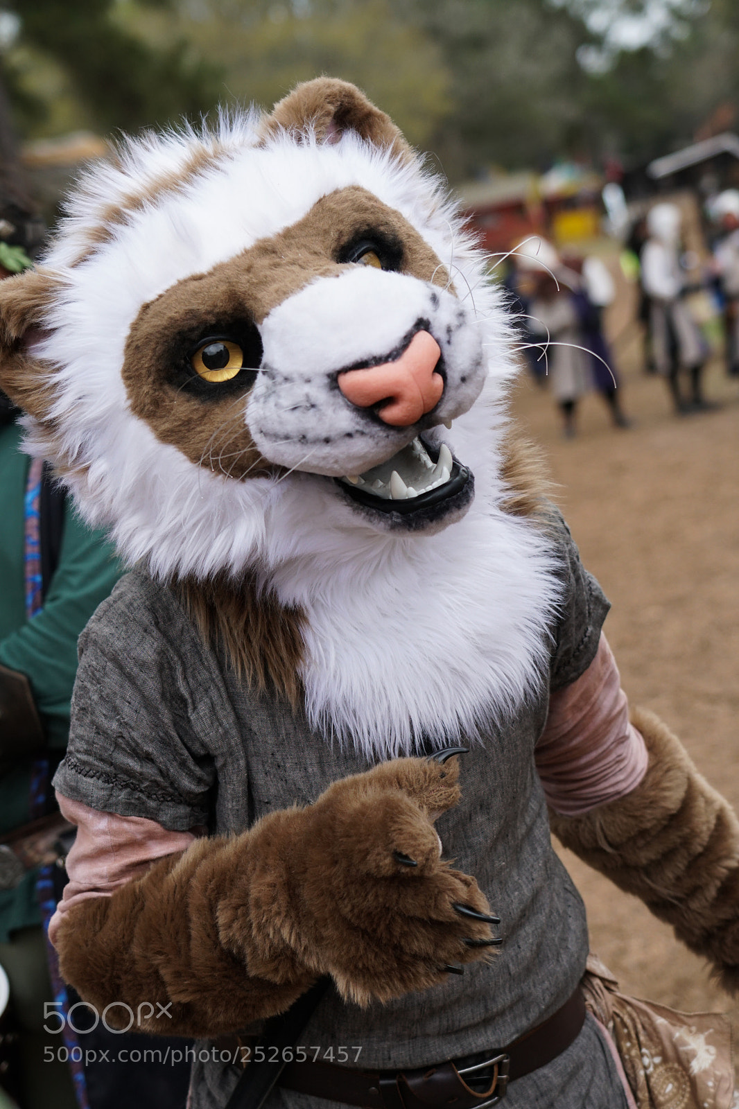 Sony a6500 sample photo. Sherwood forest photography