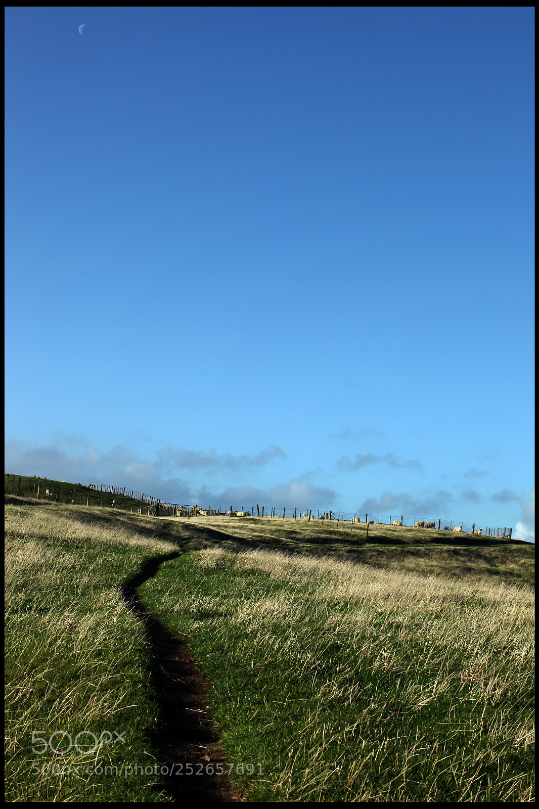 Canon EOS 5D Mark II sample photo. Newzea -land photography
