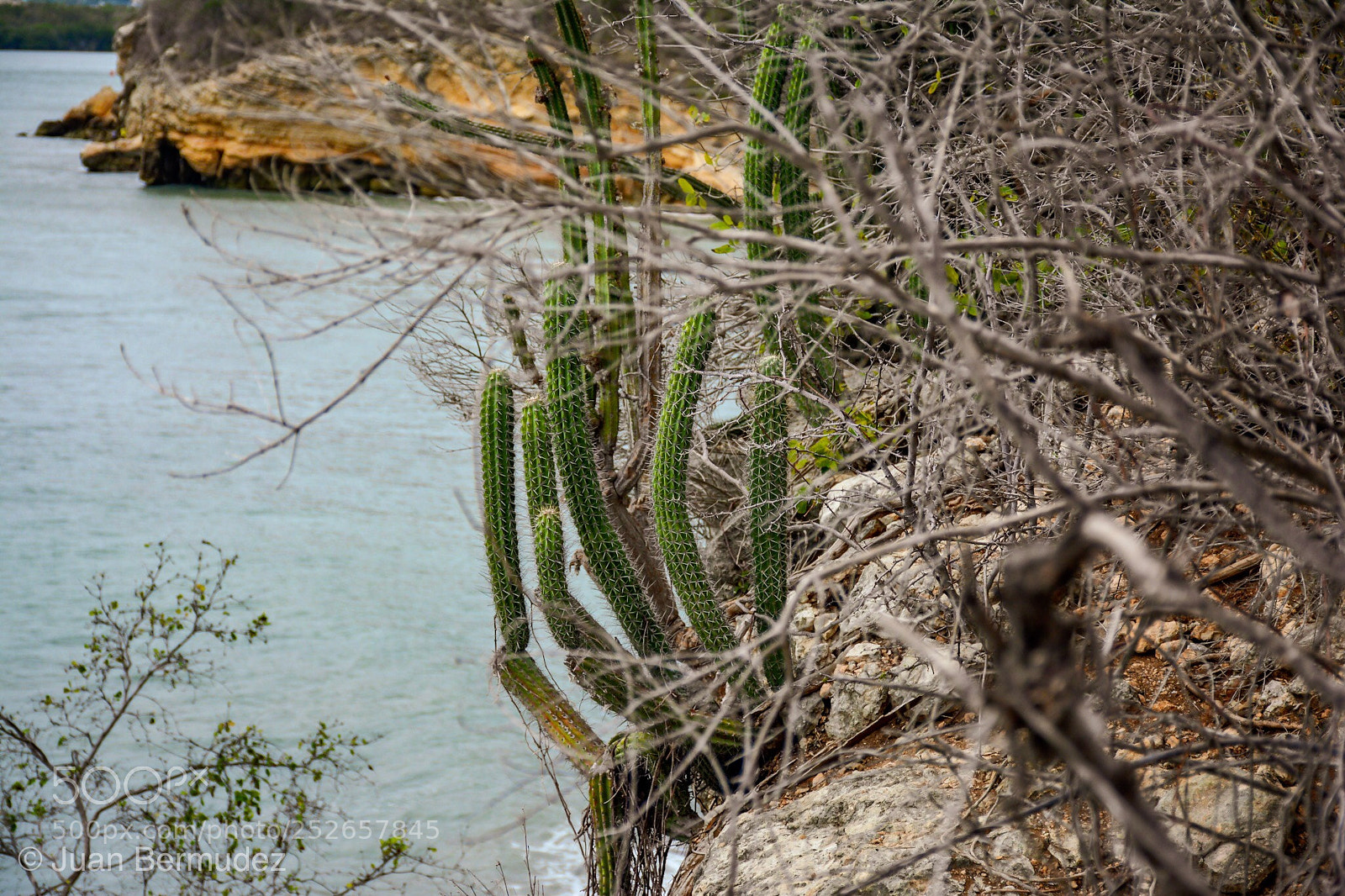 Nikon D5200 sample photo. Untitled photography