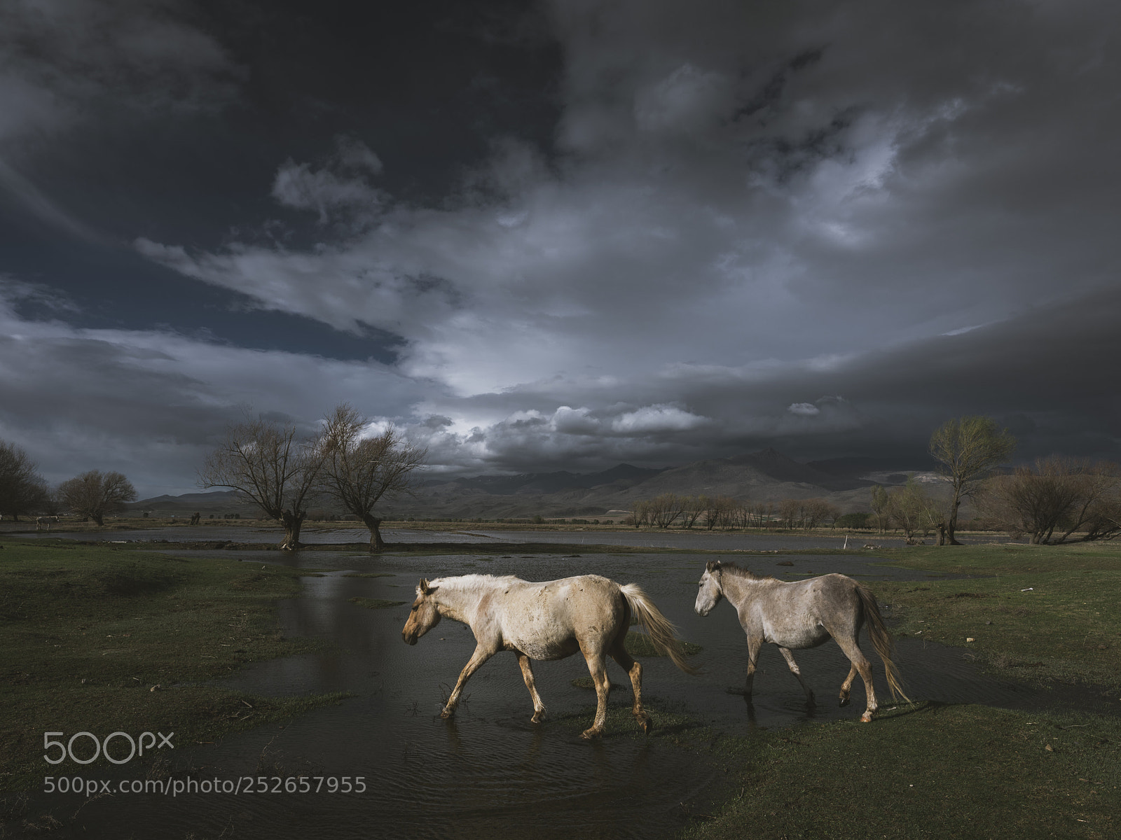 Fujifilm GFX 50S sample photo. Riders non the storm. photography