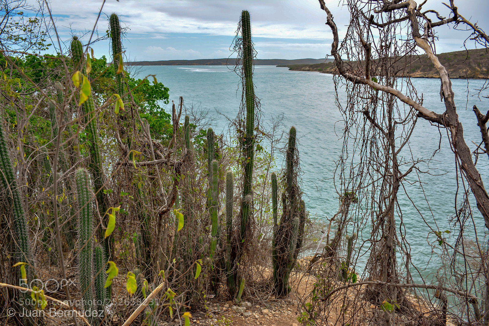 Nikon D5200 sample photo. Ocean view photography