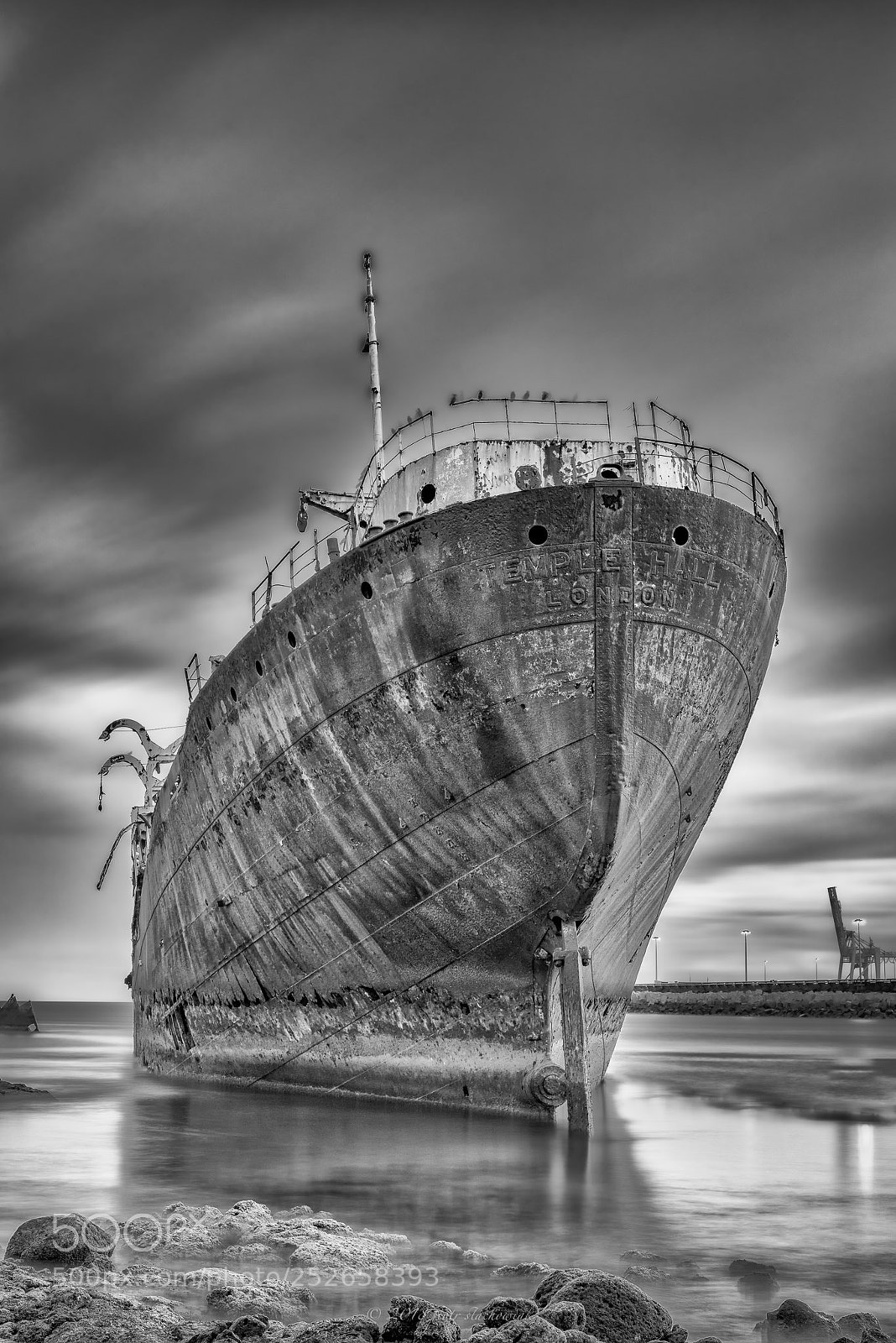 Nikon D810 sample photo. Blanco, casi negro... (7) photography