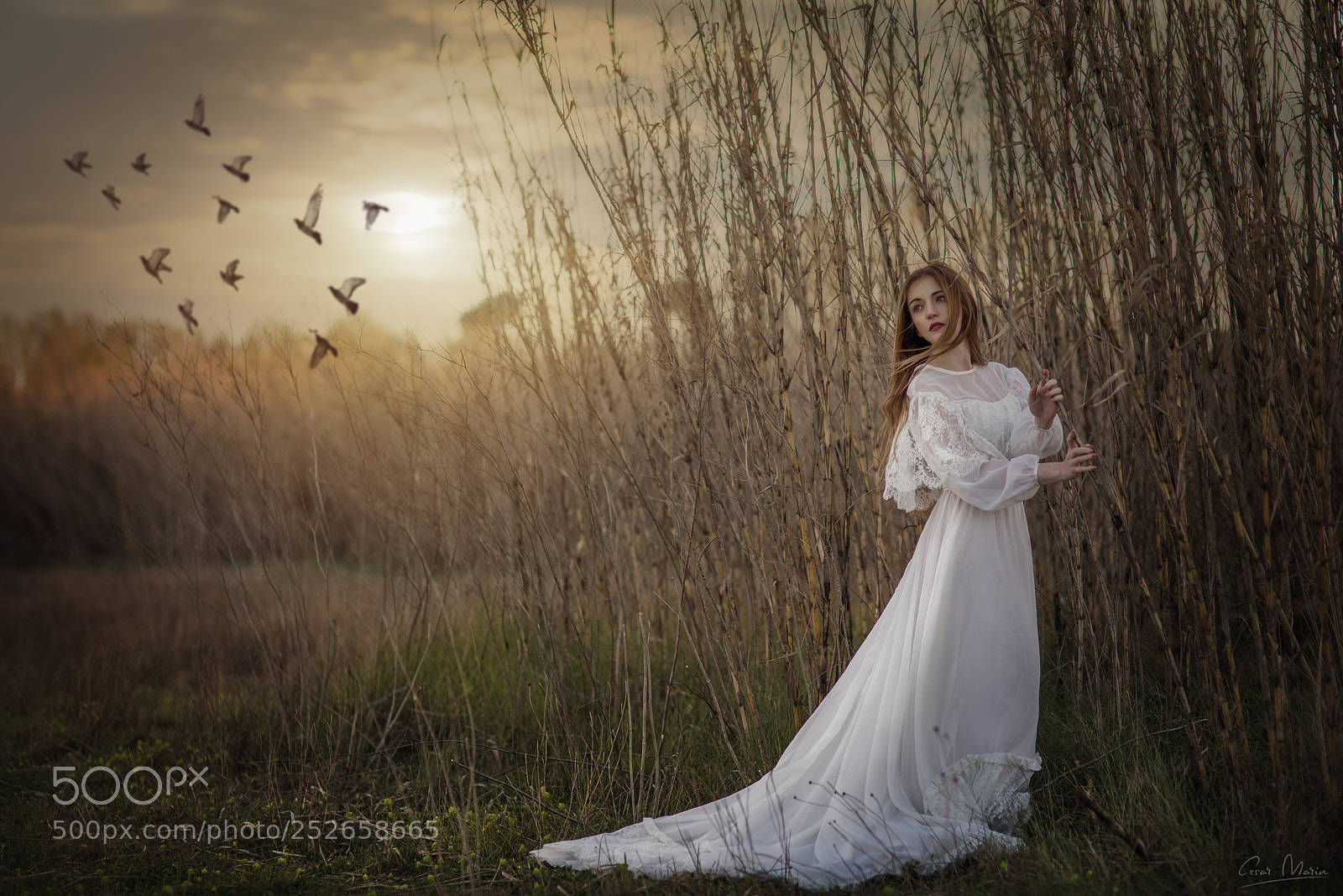 Nikon D800 sample photo. Monica photography