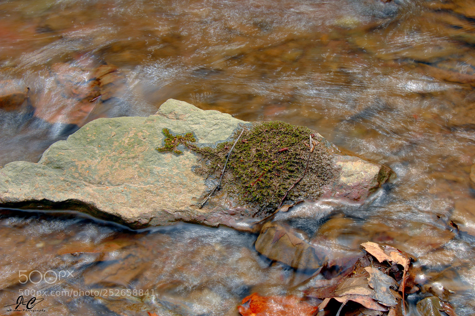 Canon EOS 1300D (EOS Rebel T6 / EOS Kiss X80) sample photo. Pet rock anyone photography