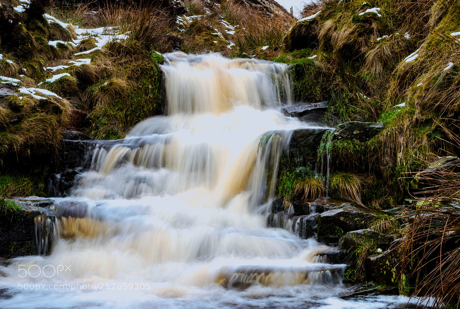 Nikon D5100 sample photo. Tune of nature photography