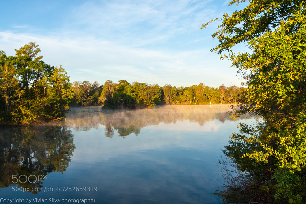 Canon EOS 40D sample photo. Hillsborough river photography