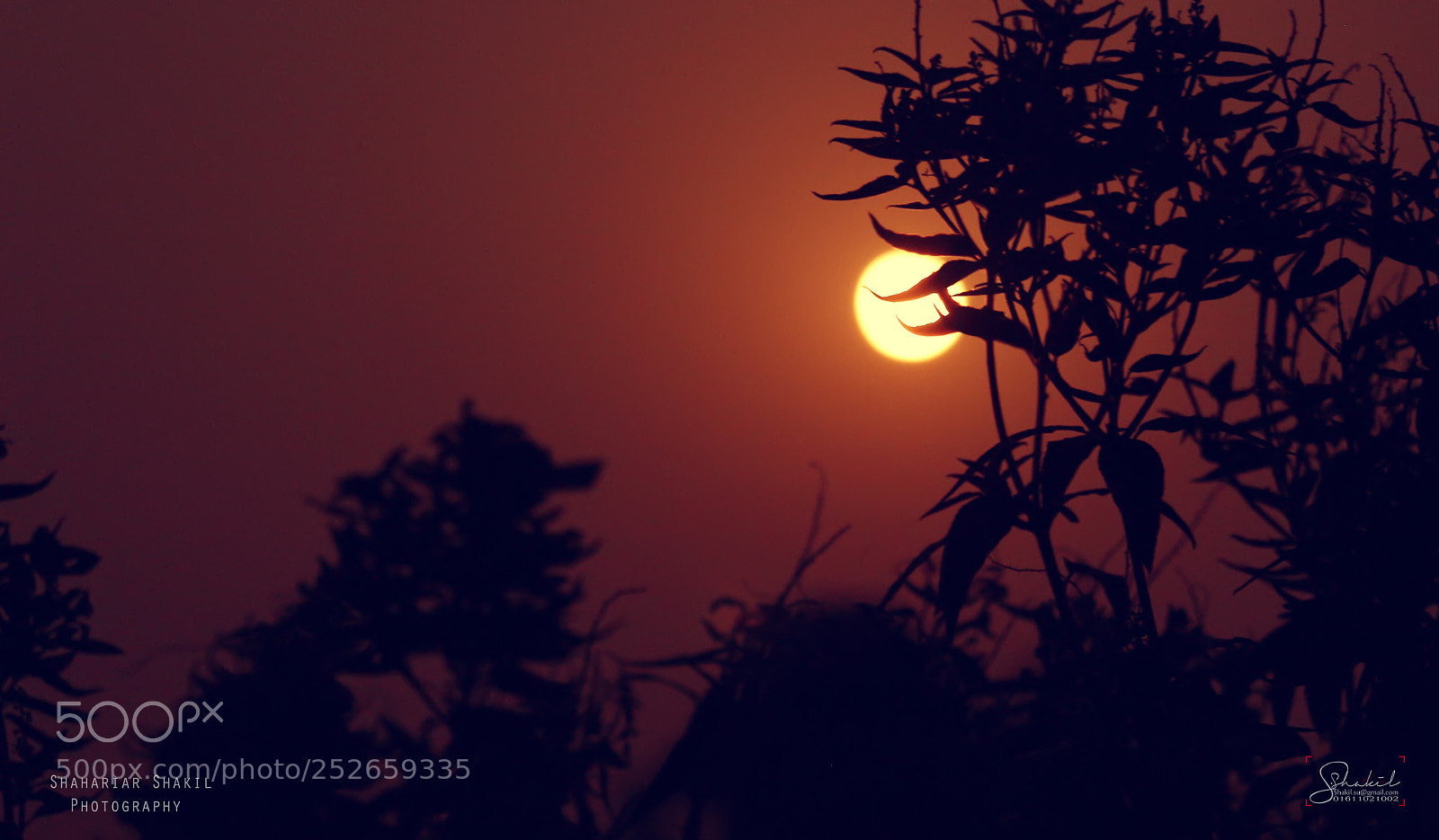 Canon EOS 700D (EOS Rebel T5i / EOS Kiss X7i) sample photo. Beautiful moon photography