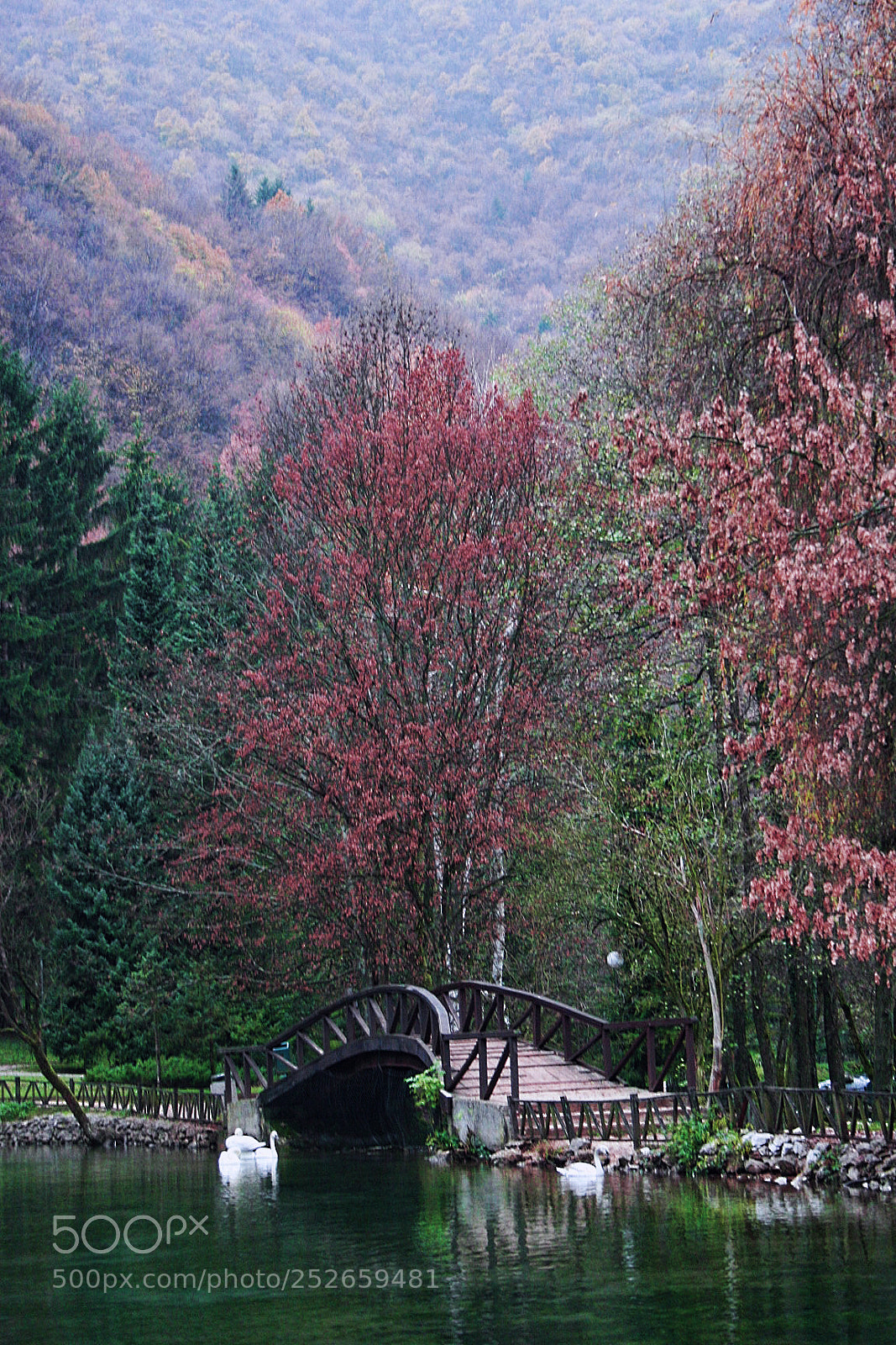 Canon EOS 20D sample photo. Natura photography