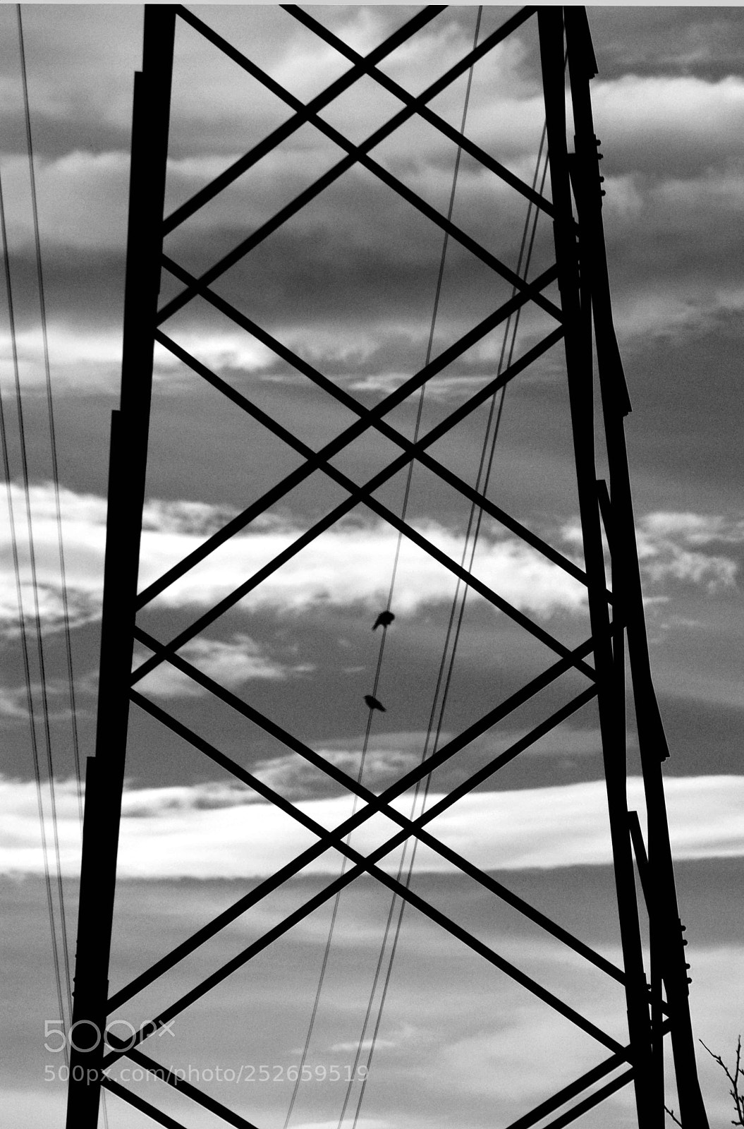 Nikon D3200 sample photo. Cableado photography