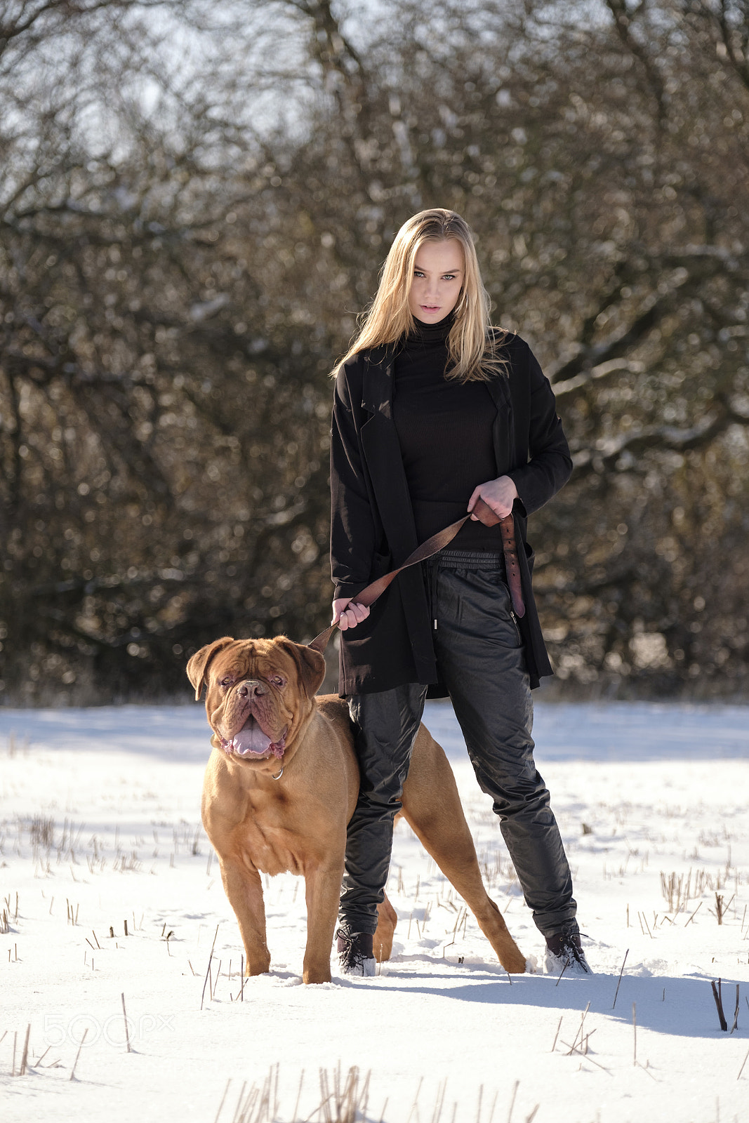 Fujifilm X-T2 sample photo. Girl and dog photography