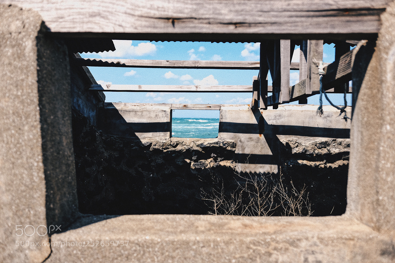 Fujifilm X70 sample photo. Untitled photography