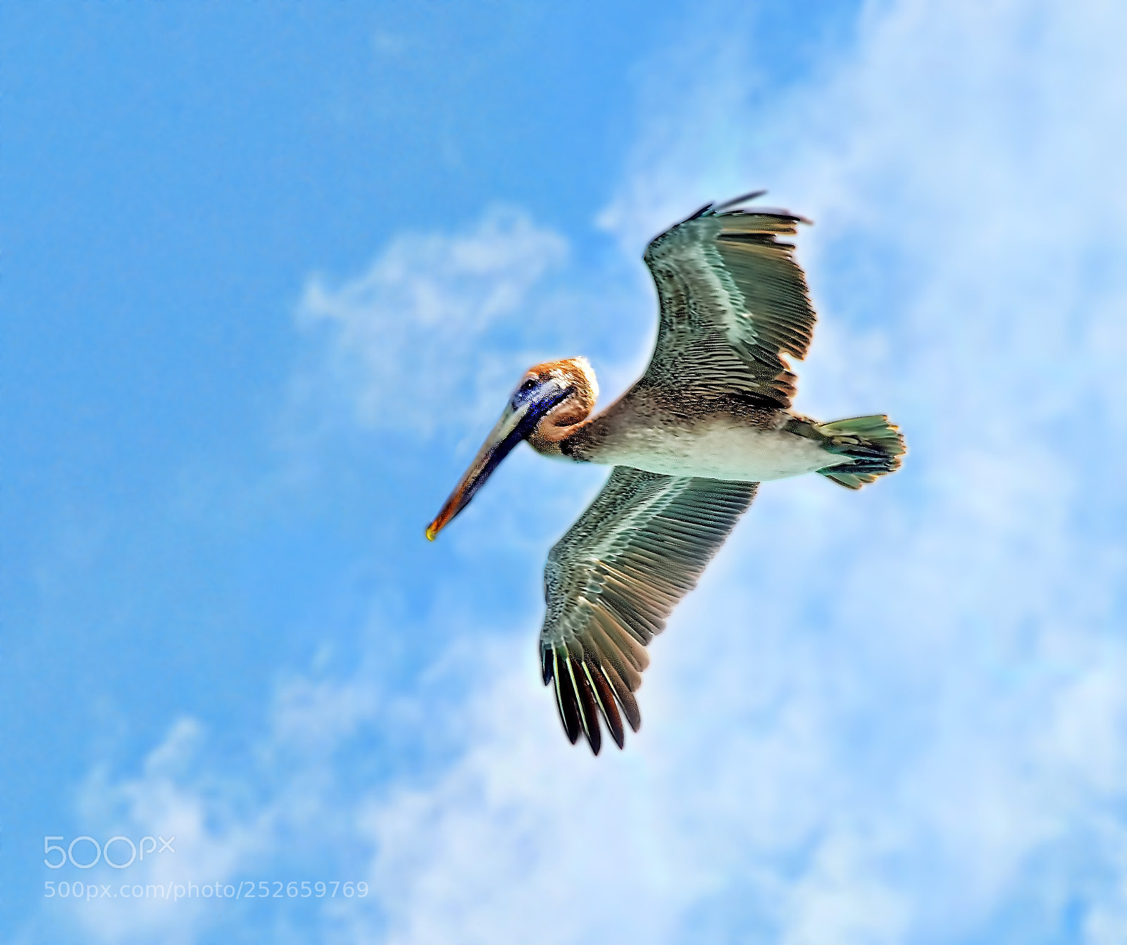 Nikon D810 sample photo. Hunting photography