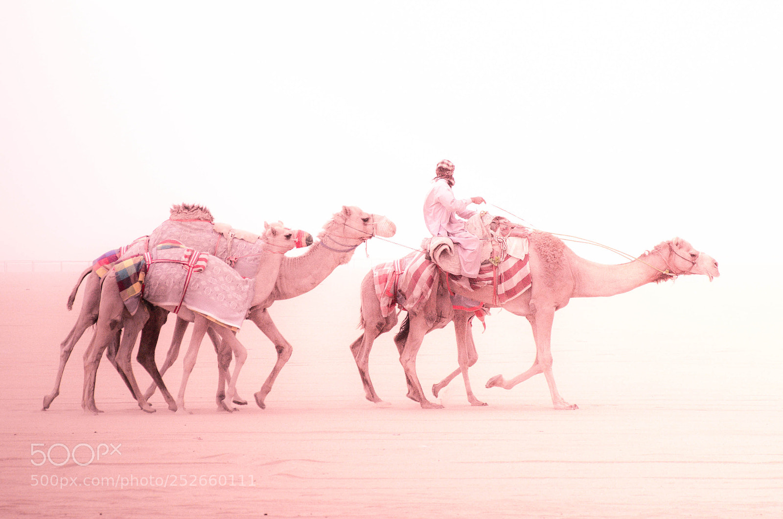 Nikon D7000 sample photo. Journey to nowhere photography