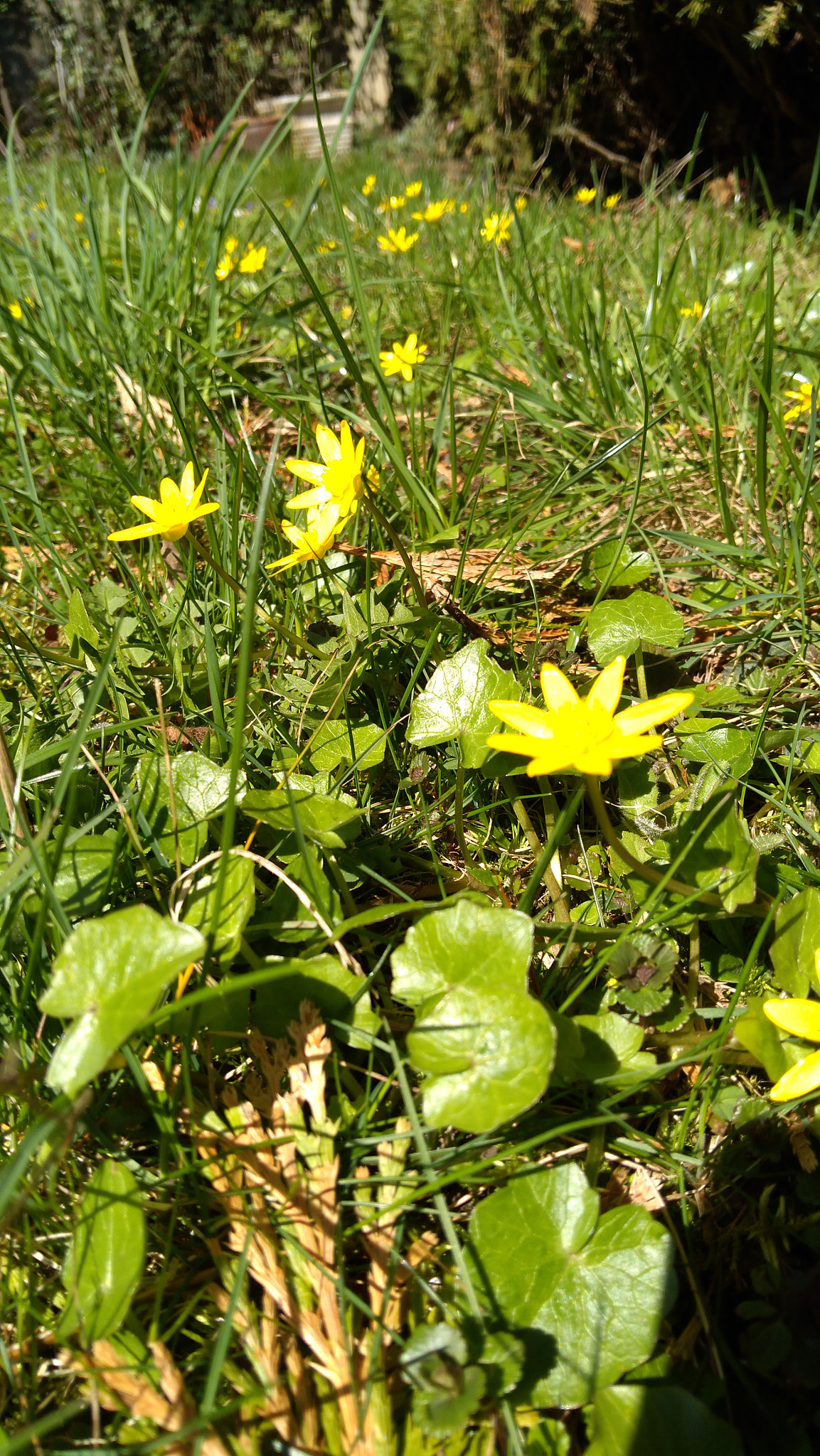 Lenovo K6 NOTE sample photo. Img_20180406_135905.jpg photography