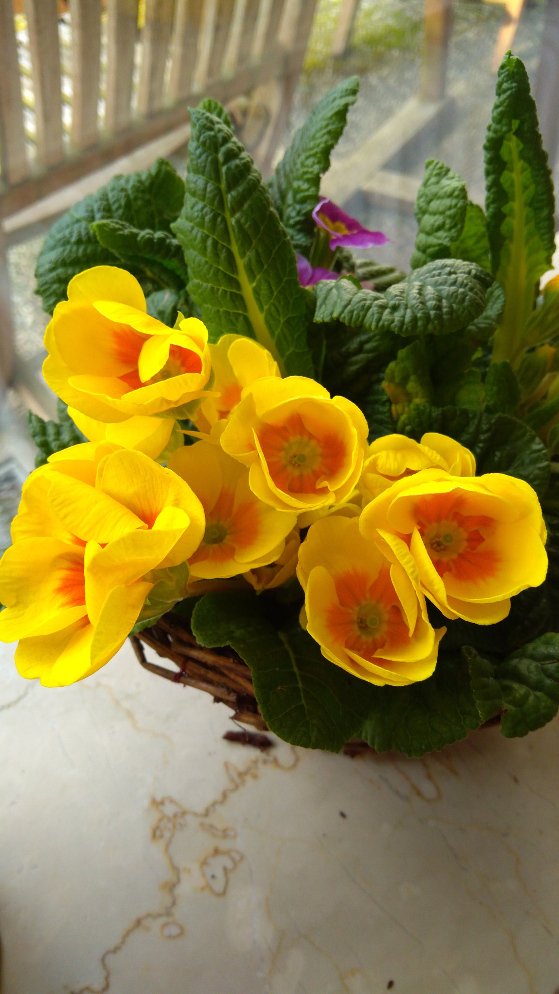 Lenovo K6 NOTE sample photo. Img_20180405_171638.jpg photography