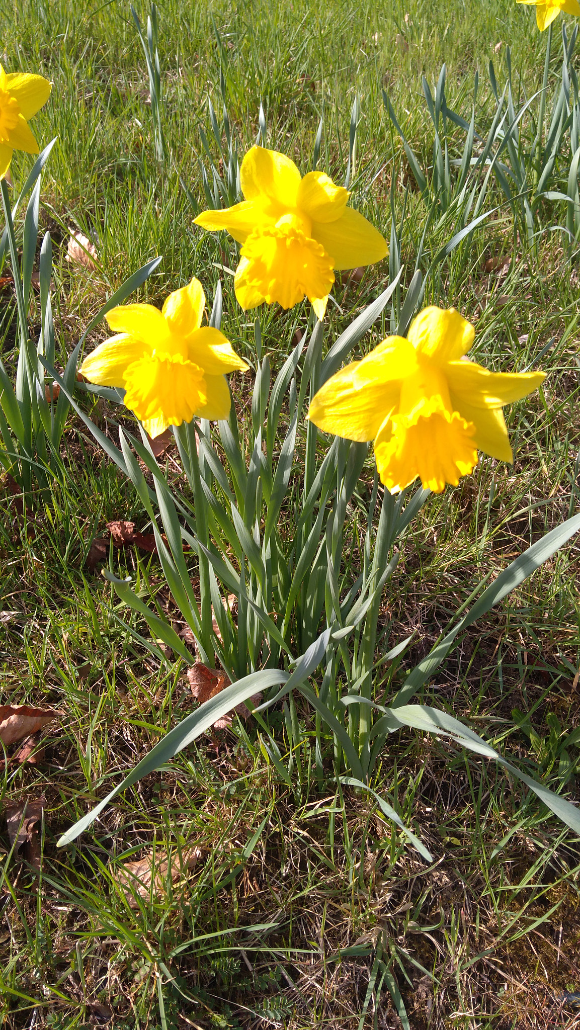 Lenovo K6 NOTE sample photo. Img_20180402_153235.jpg photography