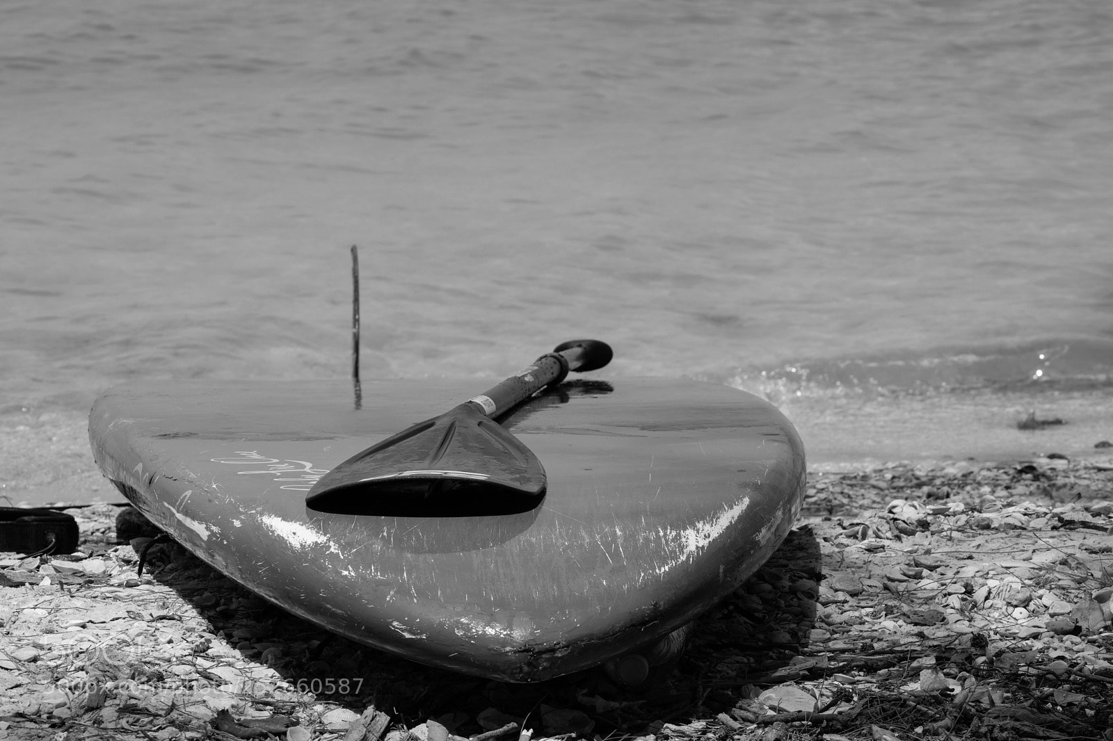 Canon EOS 200D (EOS Rebel SL2 / EOS Kiss X9) sample photo. Slowly drifting  photography