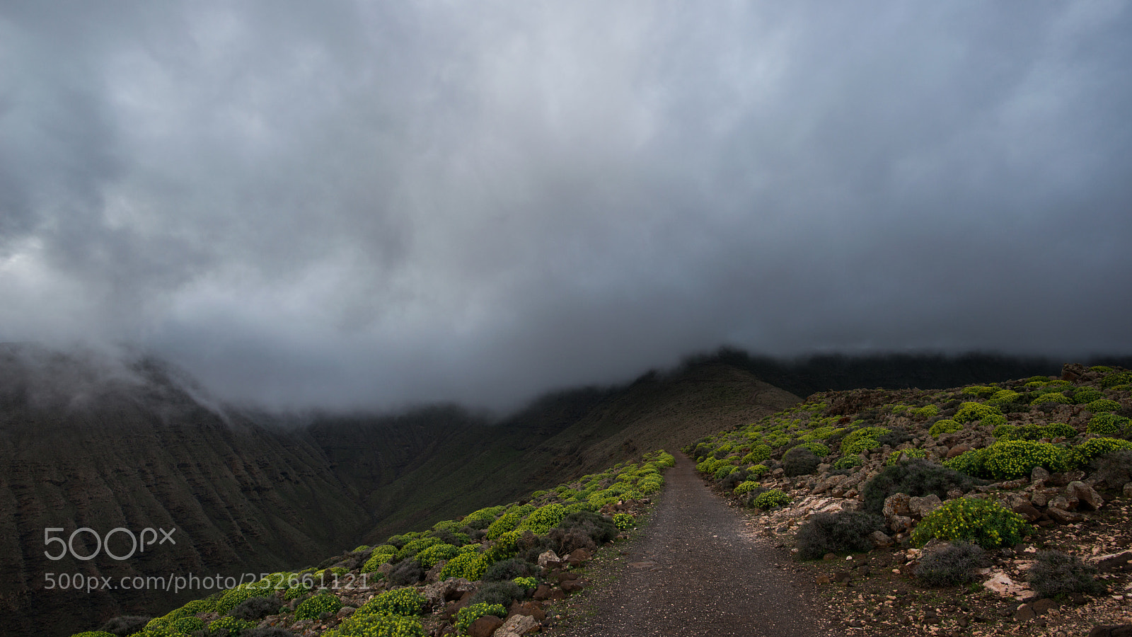 Nikon D800 sample photo. Low cloud photography
