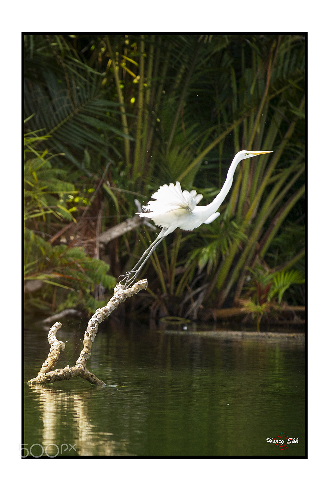 Nikon D3S sample photo. Take off photography